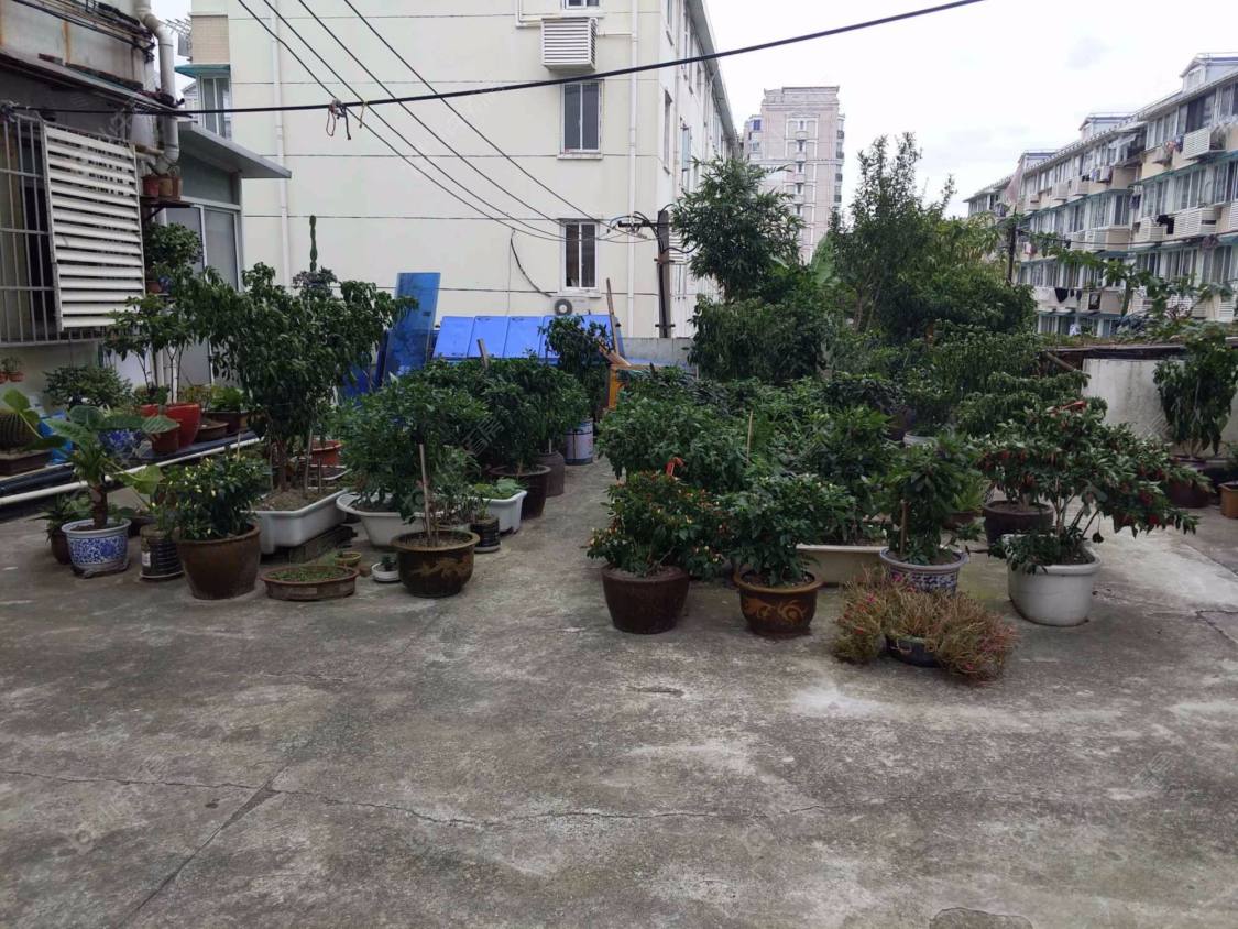 上海东方路3721弄小区_东方路3721弄小区null