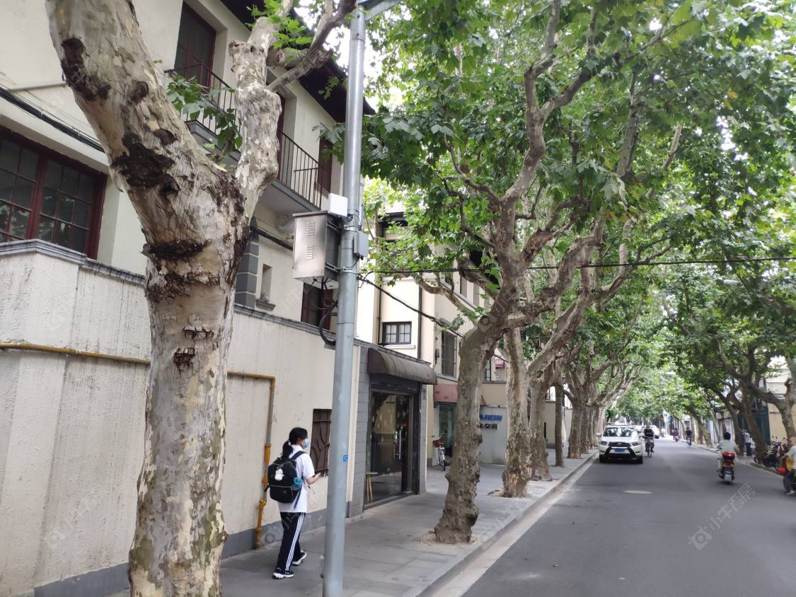 上海延庆路小区_延庆路小区null