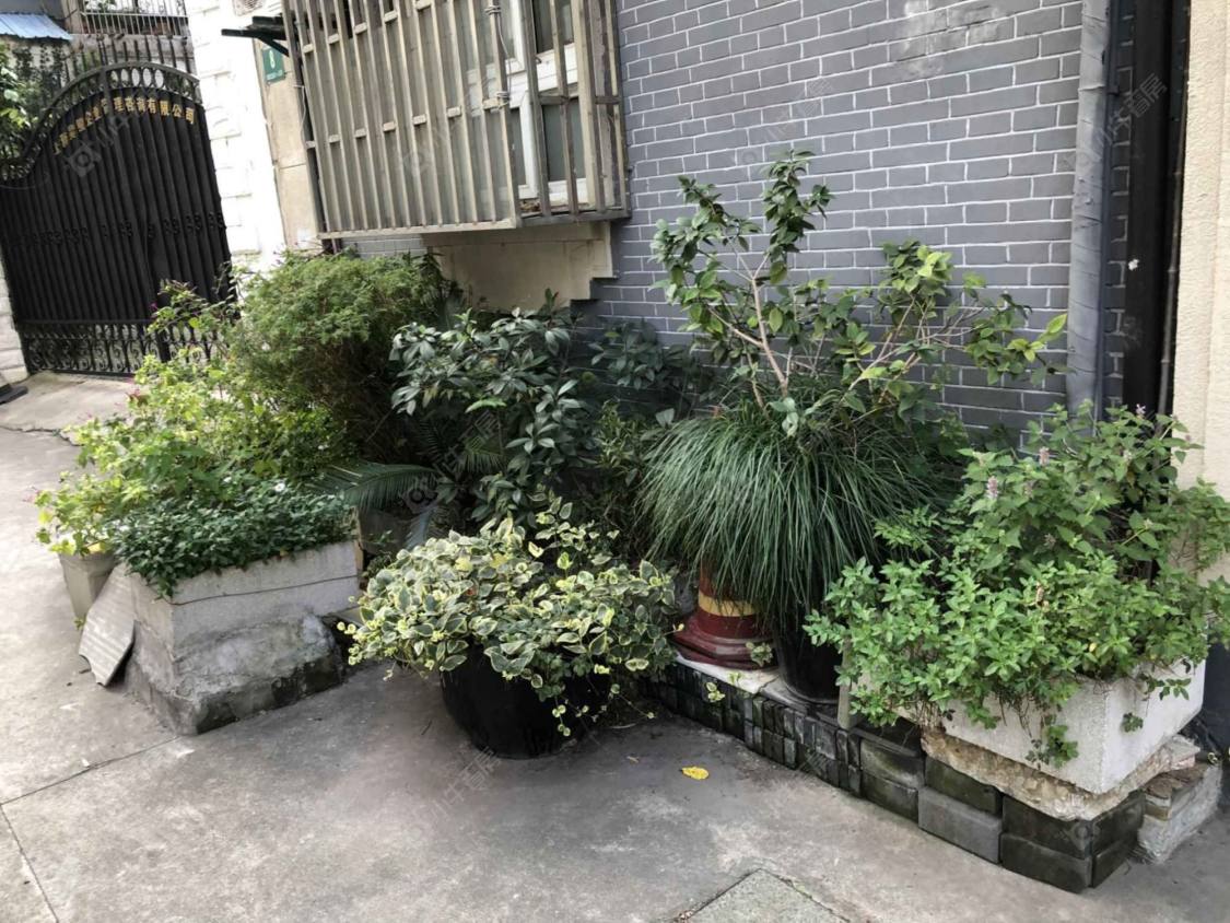 上海陕西北路815弄小区_小牛看房