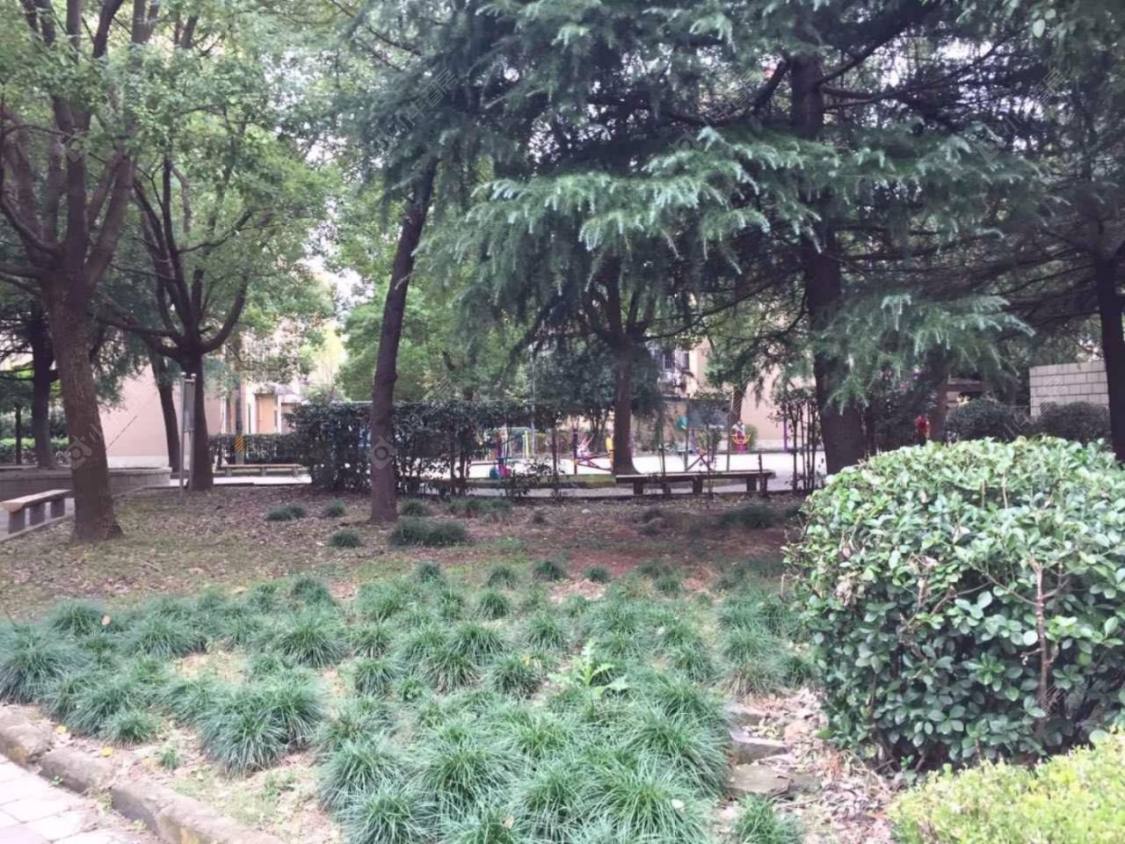 民乐二村封面图_小牛看房