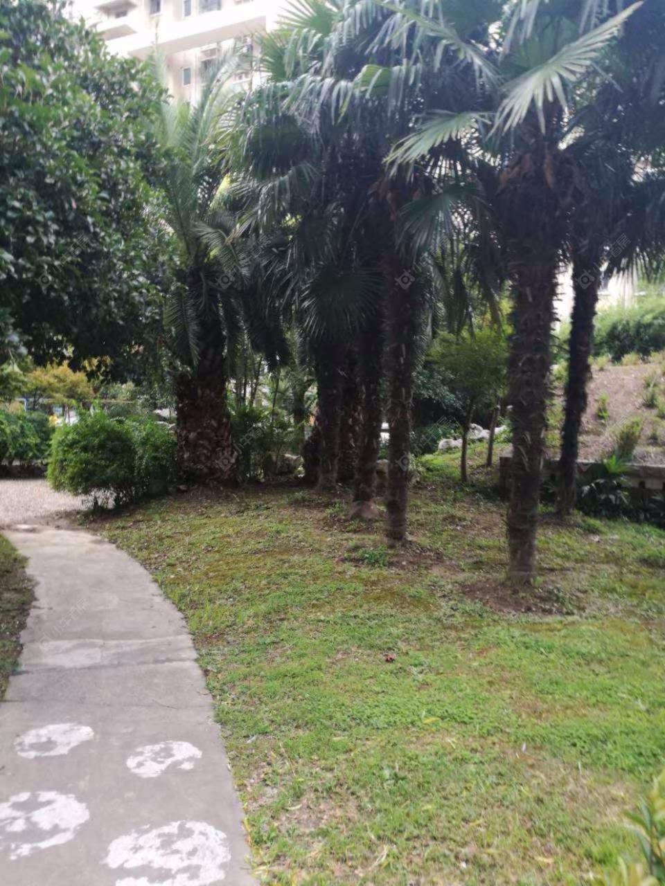 上海三泉家园小区_三泉家园小区null