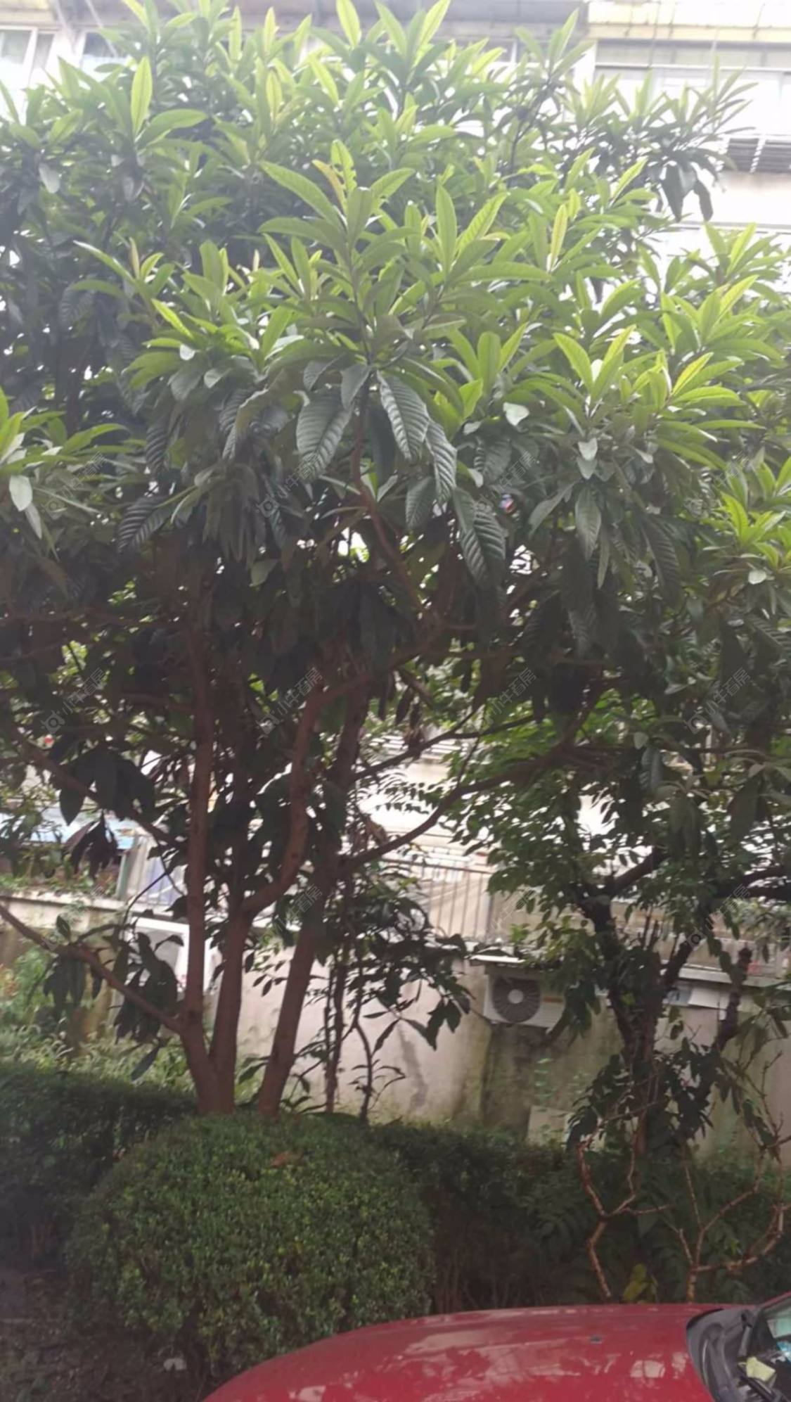 上海水清二村小区_水清二村小区null