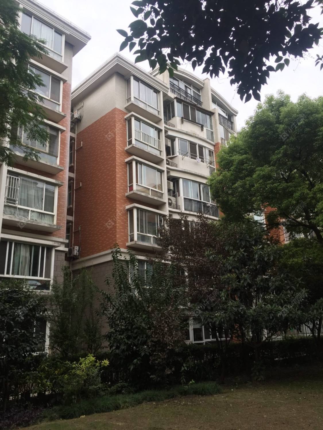 上海阳明国际花苑四期小区_阳明国际花苑四期小区null