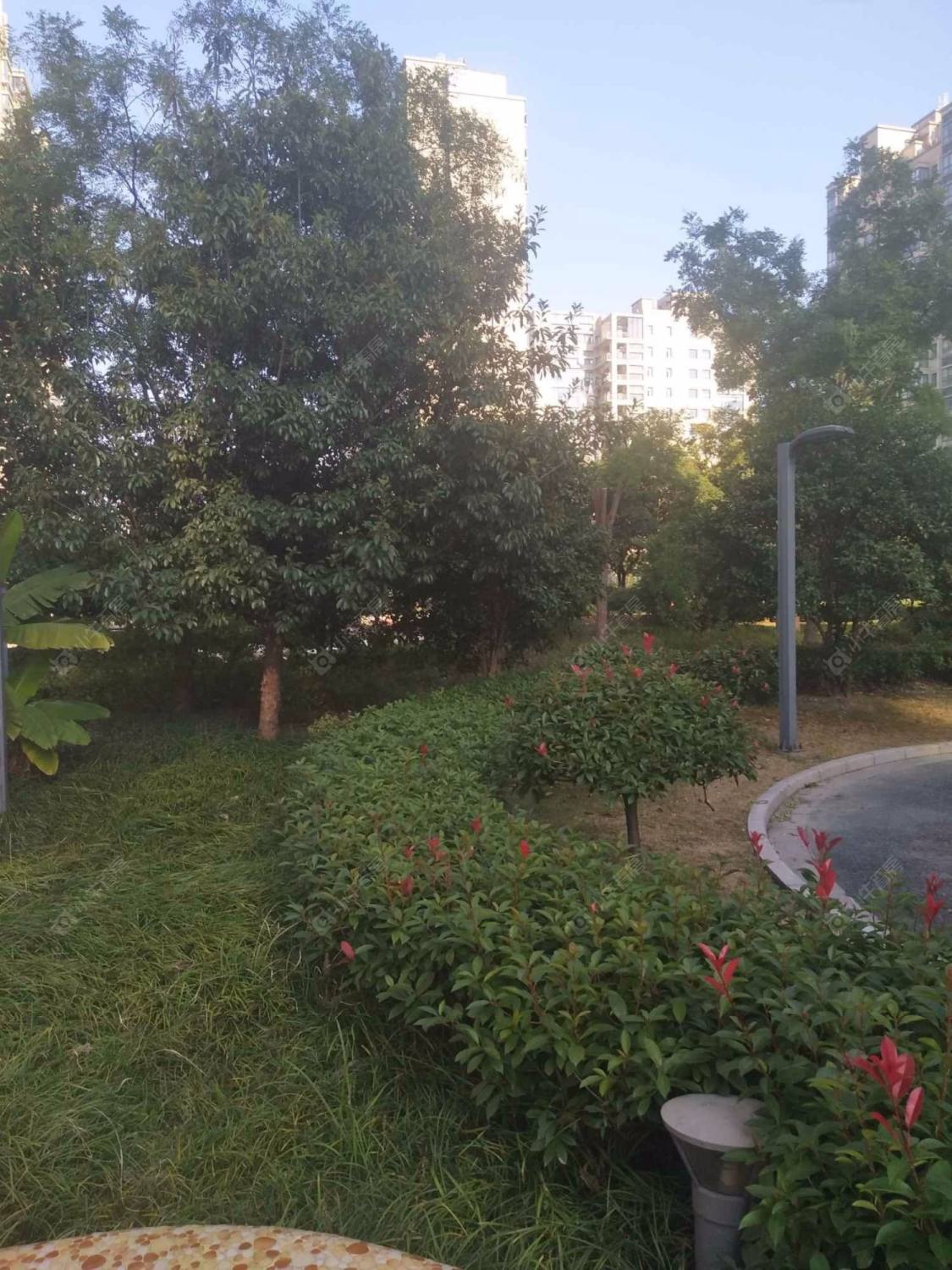 上海东润舒庭小区_东润舒庭小区实景图