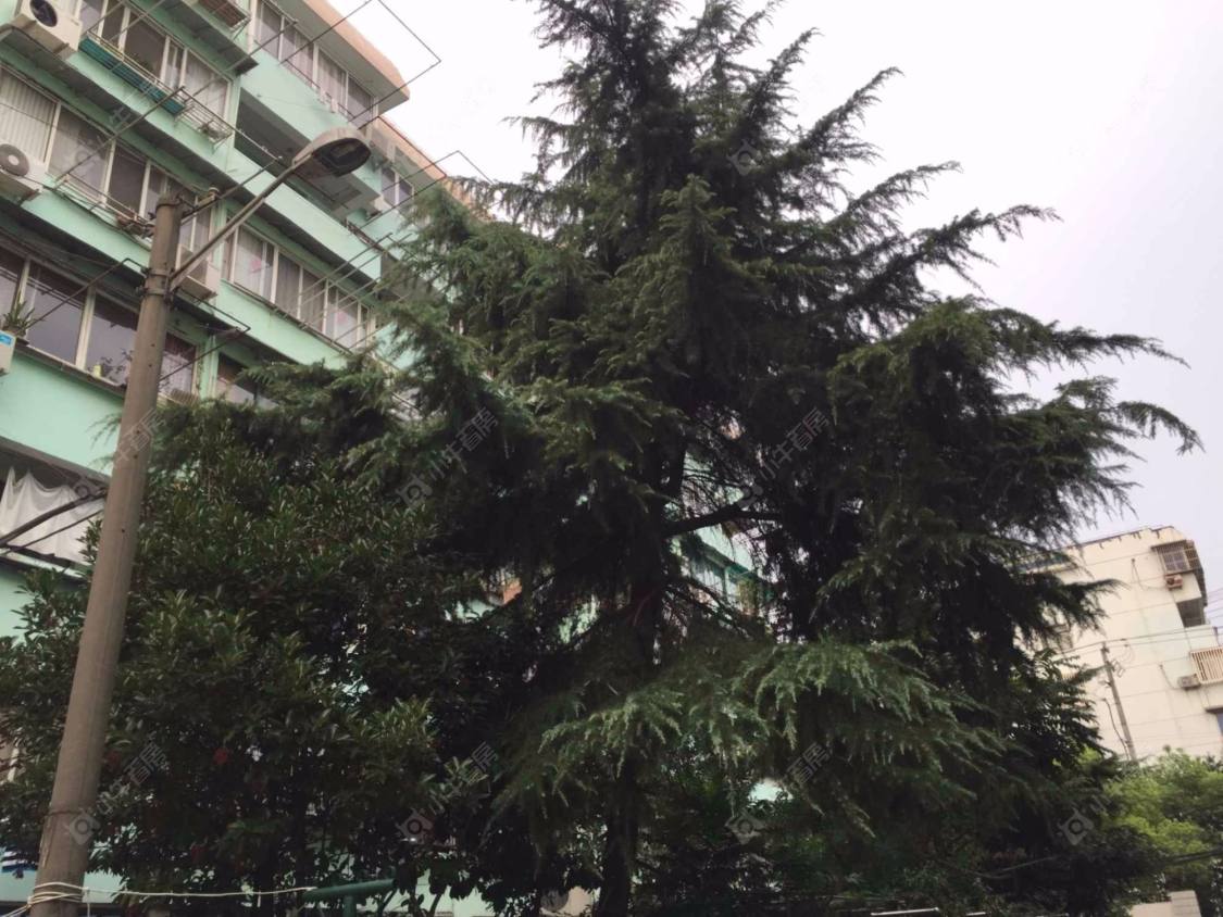 上海逸仙二村西区小区_逸仙二村西区小区null