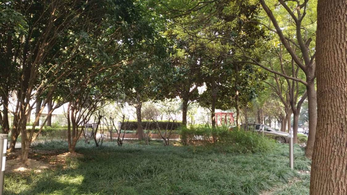 上海名人花苑西区小区_名人花苑西区小区null