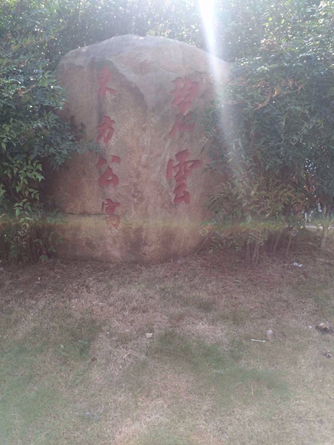 上海碧云东方公寓小区_碧云东方公寓小区null