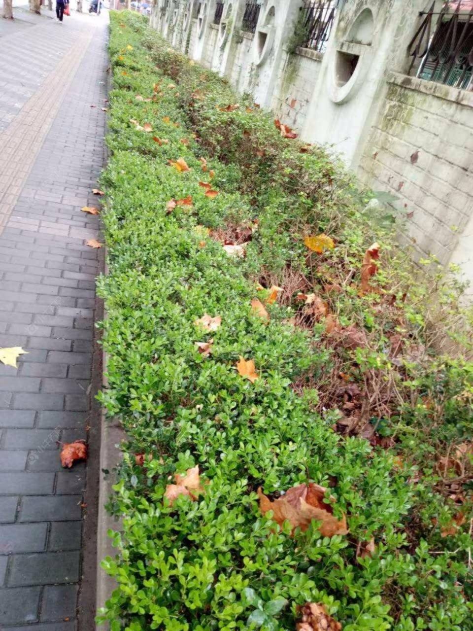 岭南家园封面图_小牛看房