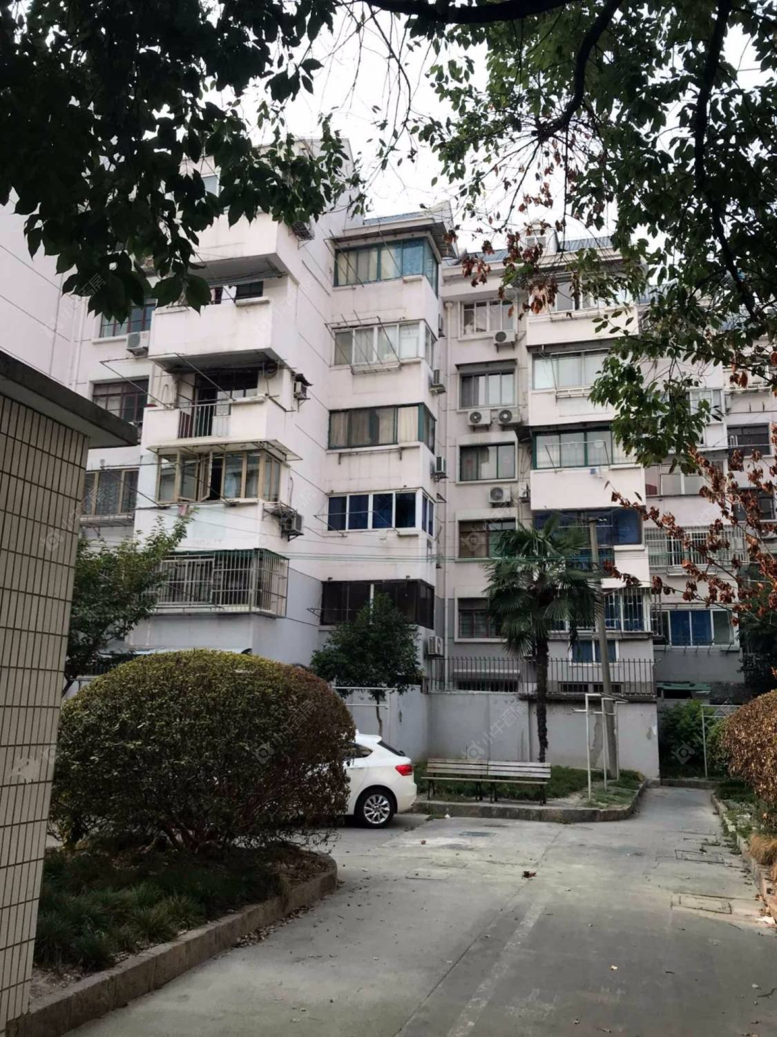 樱花苑封面图_小牛看房