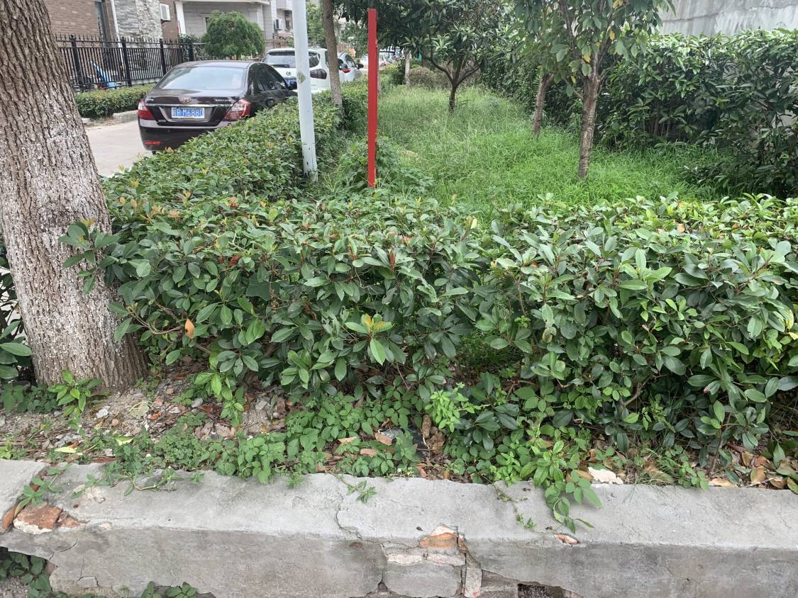 上海杜巷小区小区_小牛看房