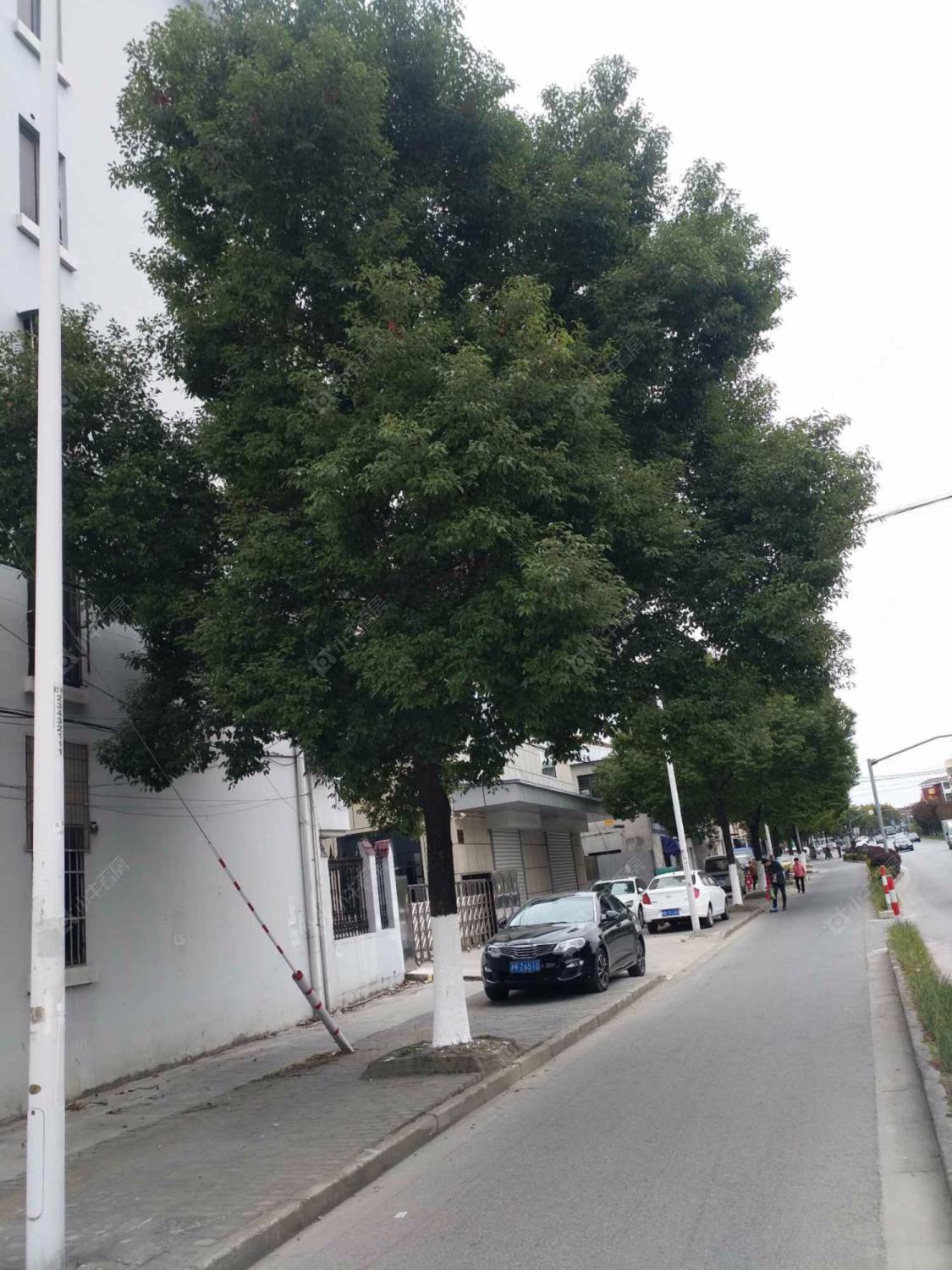 上海新苑公寓小区_新苑公寓小区null