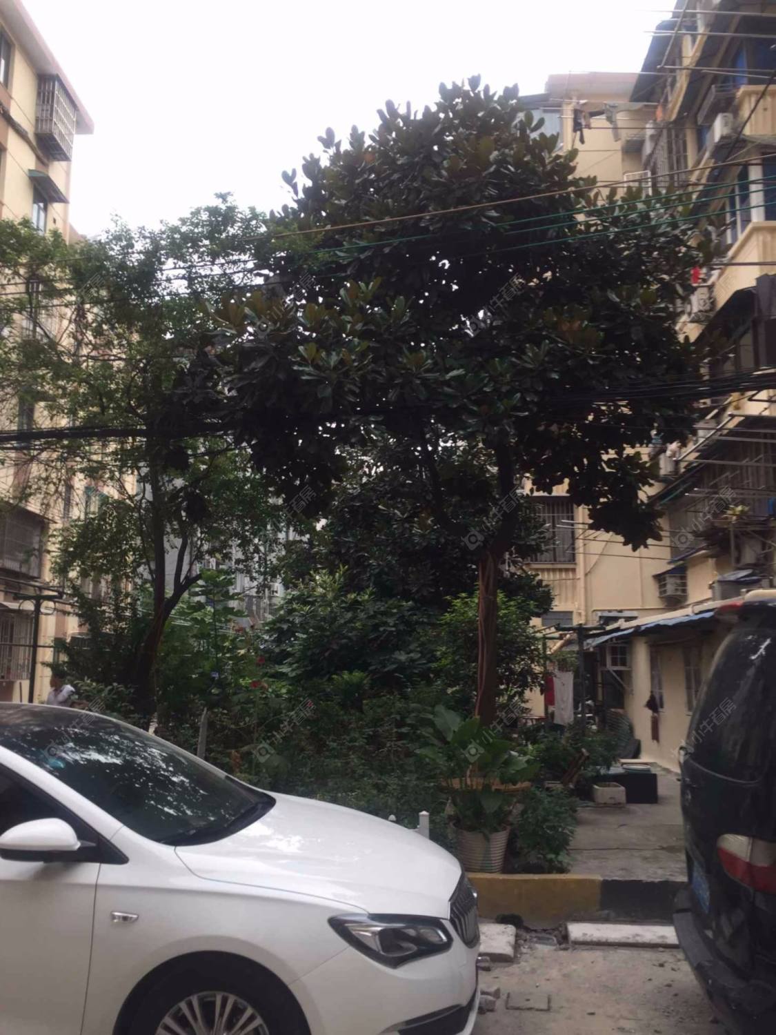 上海西藏北路853弄小区_西藏北路853弄小区null