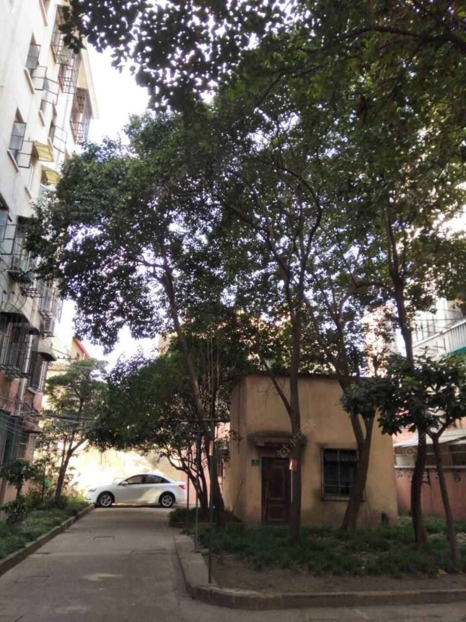 上海宝通路36弄小区_宝通路36弄小区null