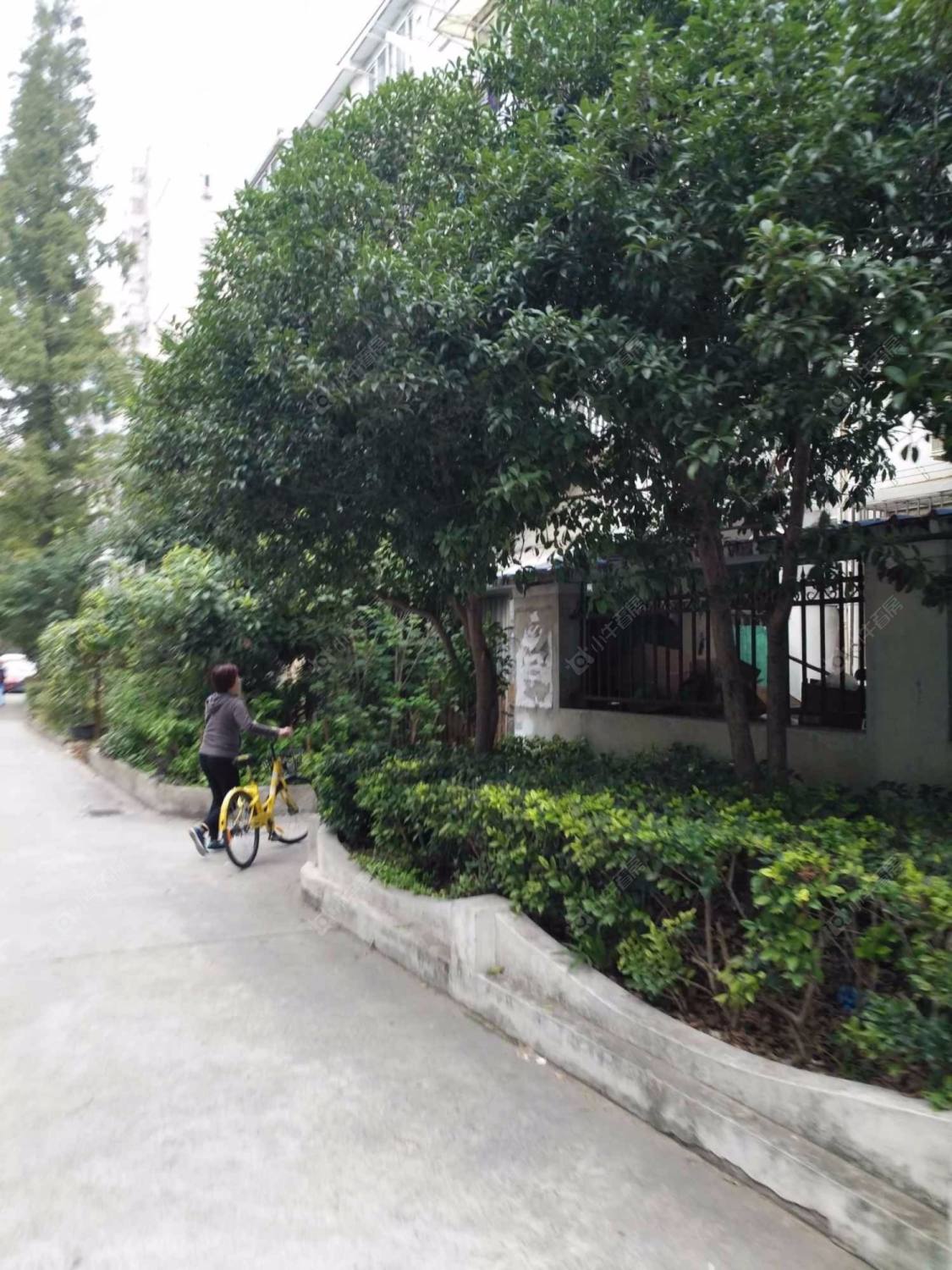 上海东安三村小区_东安三村小区null