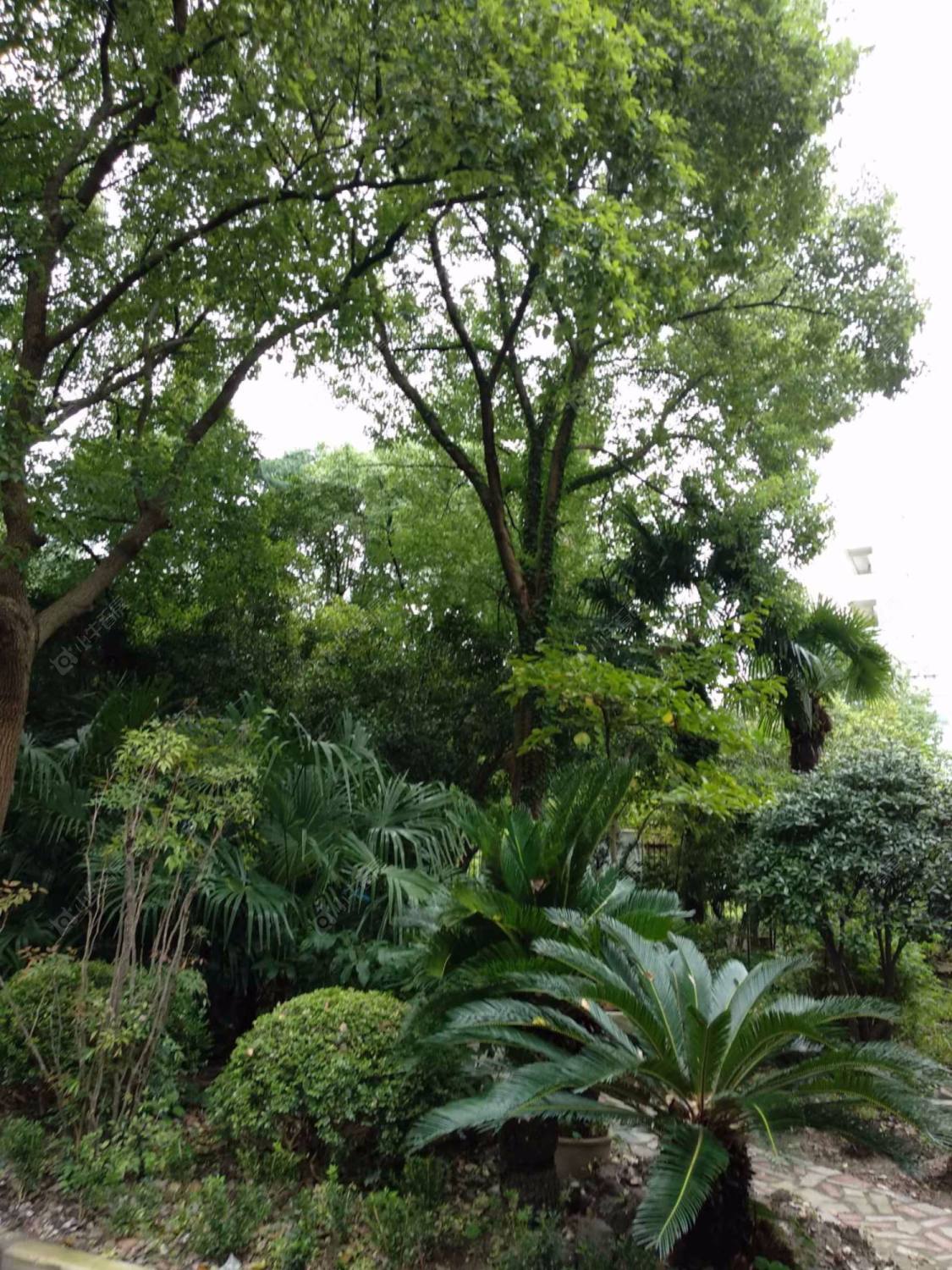 上海南极苑小区_南极苑小区null