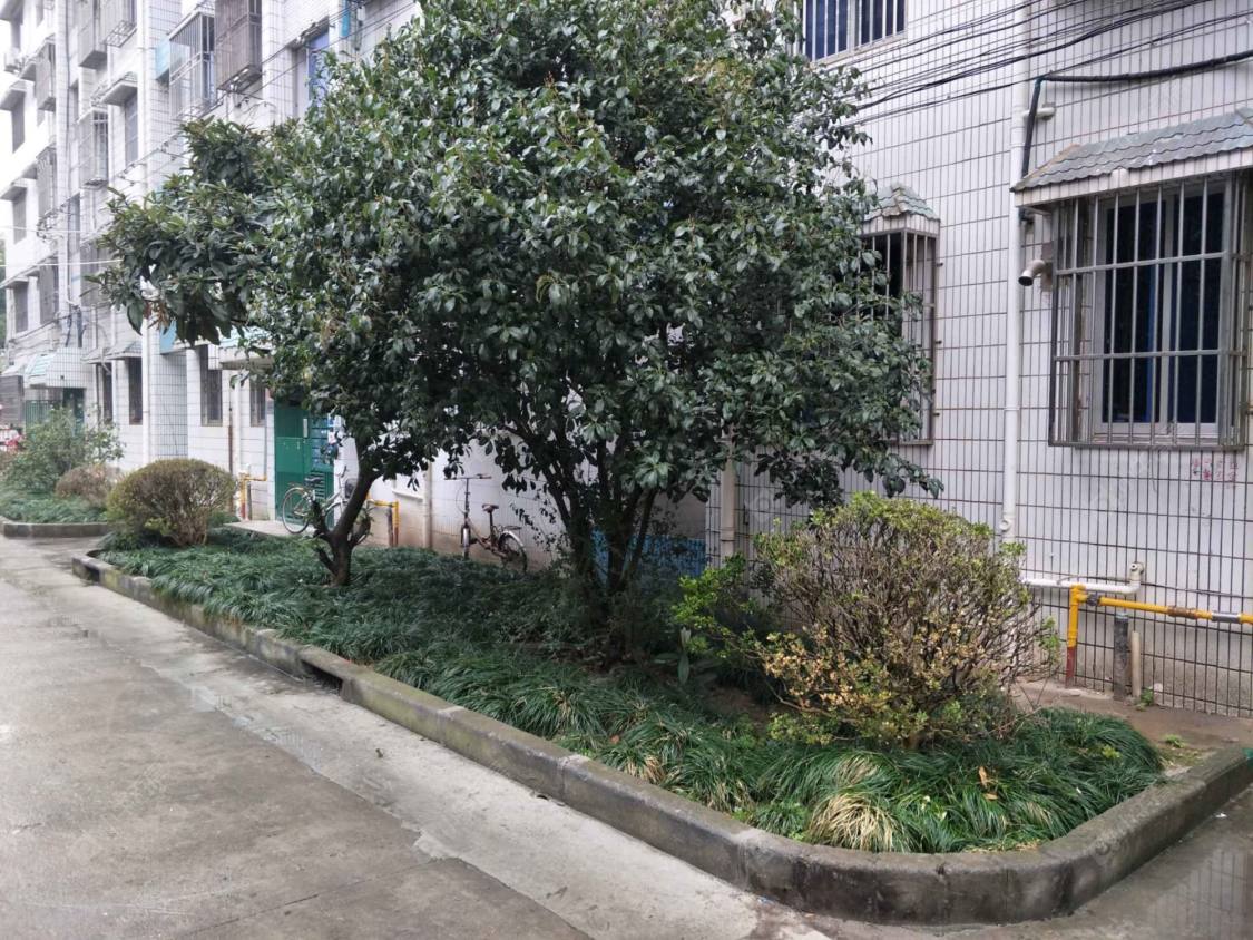 上海富民街小区小区_富民街小区小区null