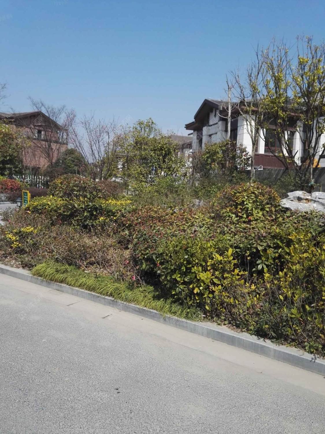 上海中信泰富朱家角新城滨湖郡小区_中信泰富朱家角新城滨湖郡小区null