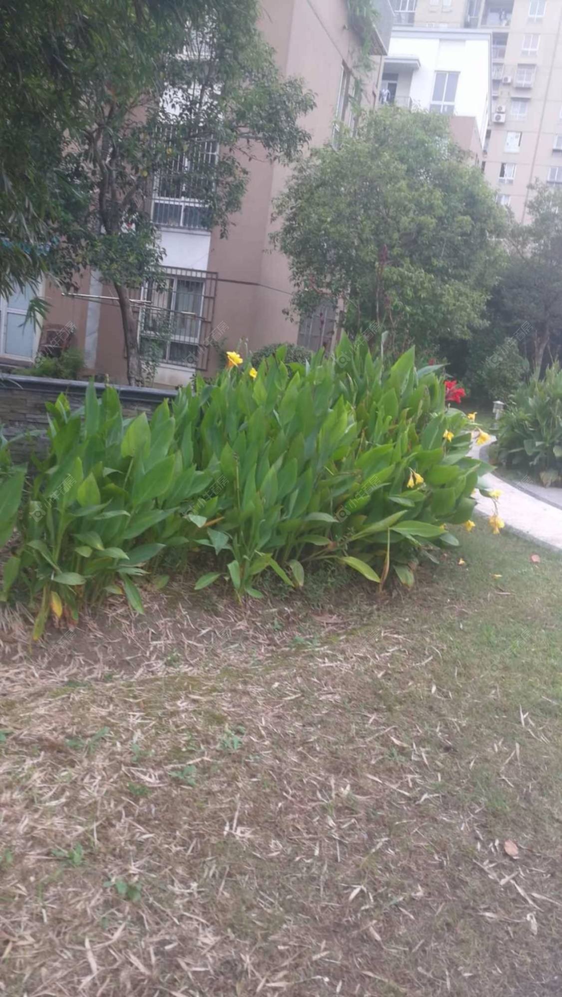 上海金硕河畔景园东区小区_金硕河畔景园东区小区null