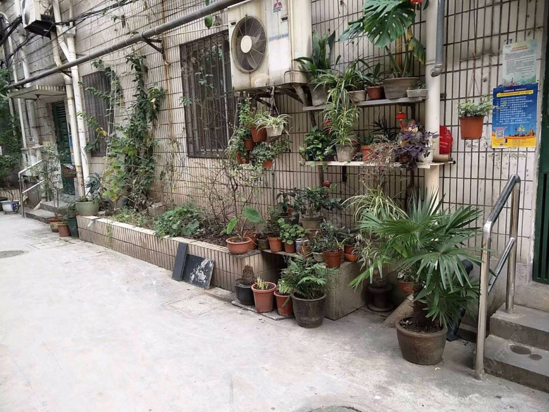 上海东汉阳路427弄小区_小牛看房