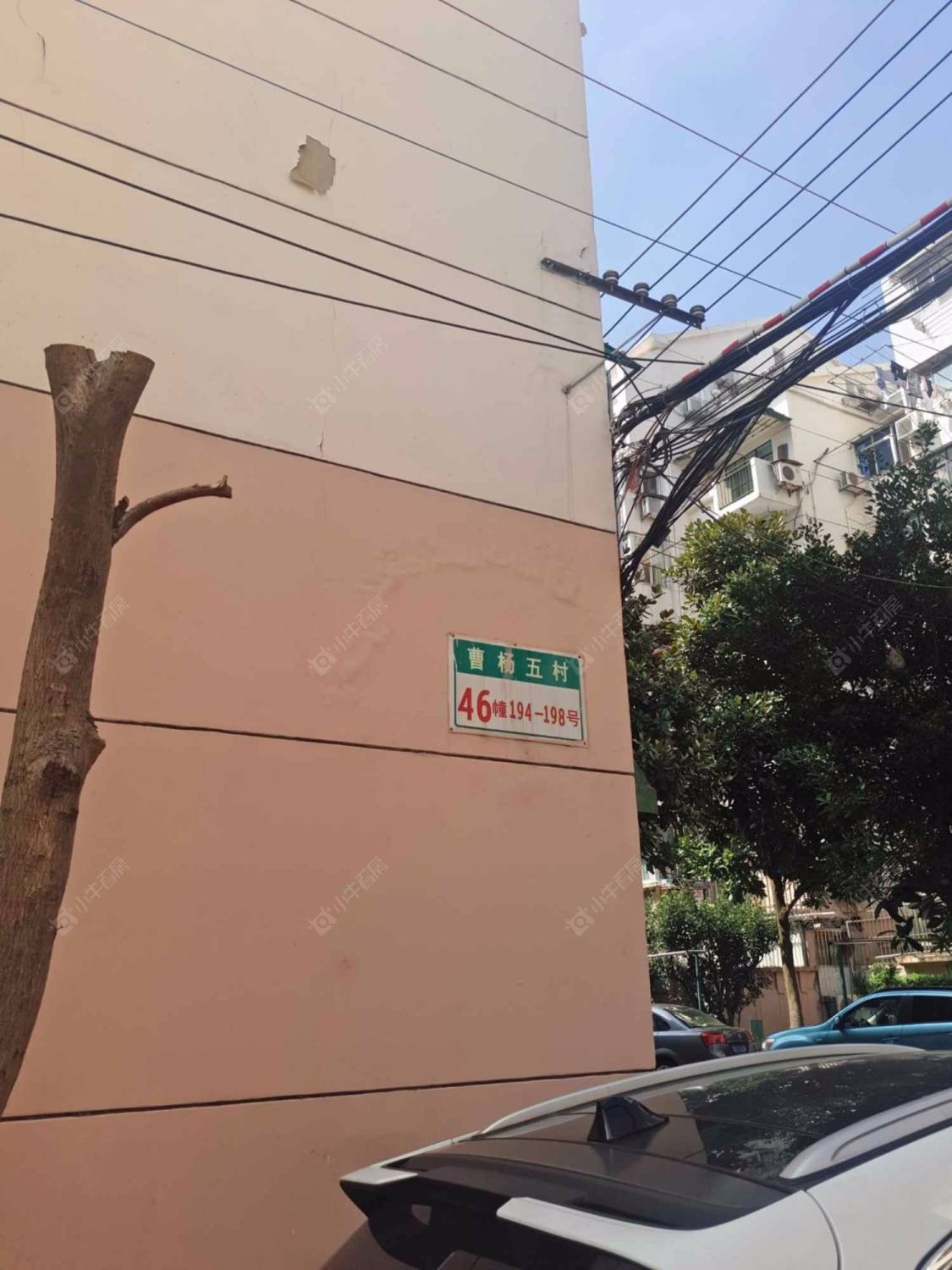 曹杨五村芙蓉园封面图_小牛看房