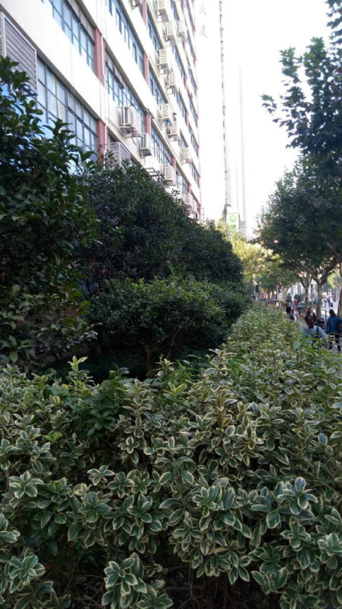 上海永兴小马路小区_小牛看房