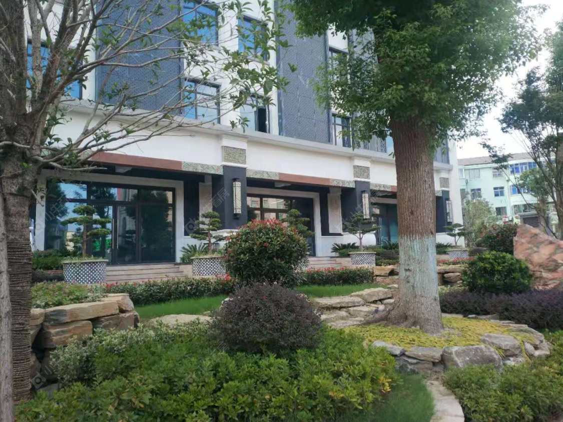 上海泗泾绿中海小区_泗泾绿中海小区null