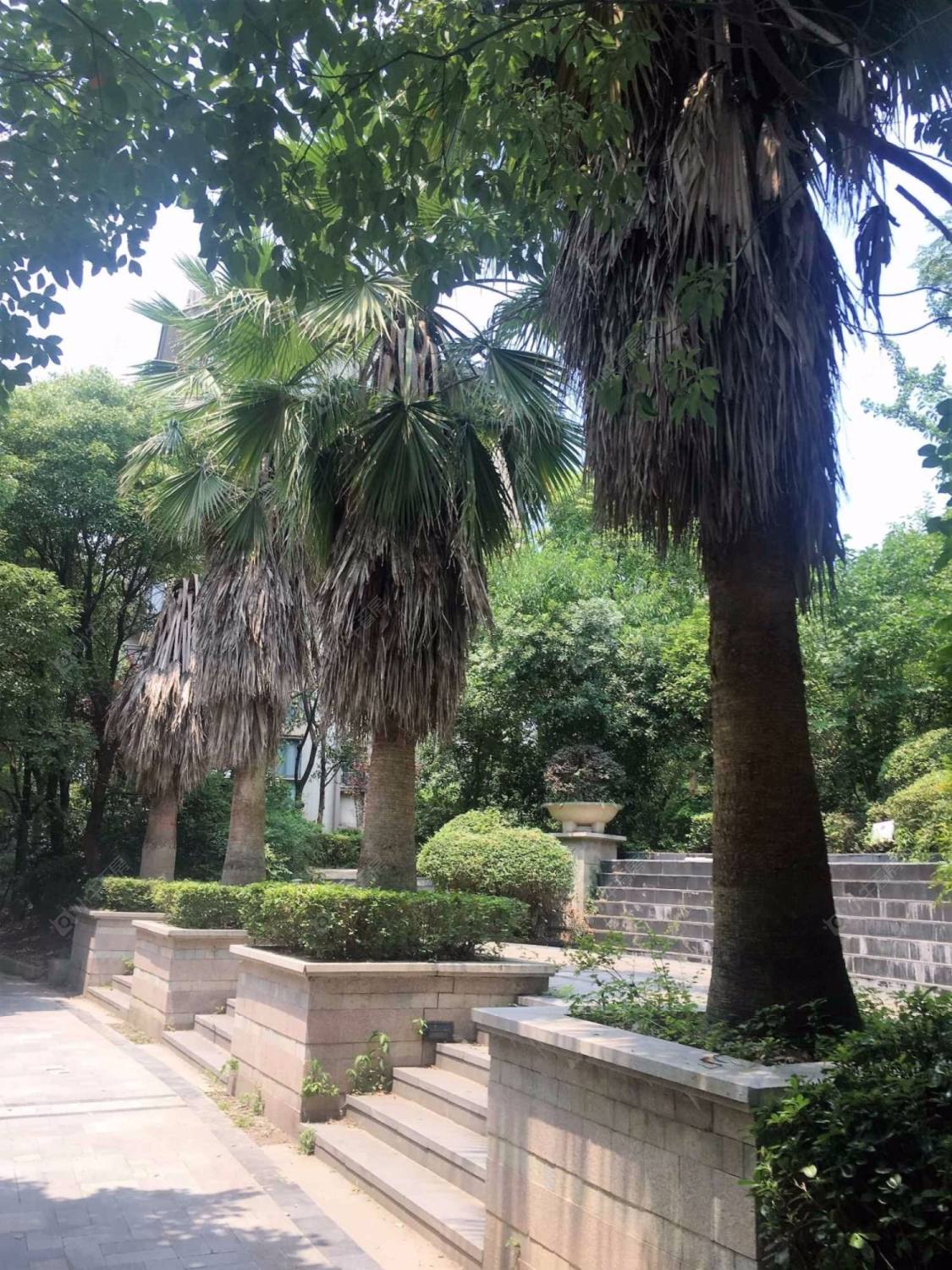 上海新天地荻泾花园小区_新天地荻泾花园小区null