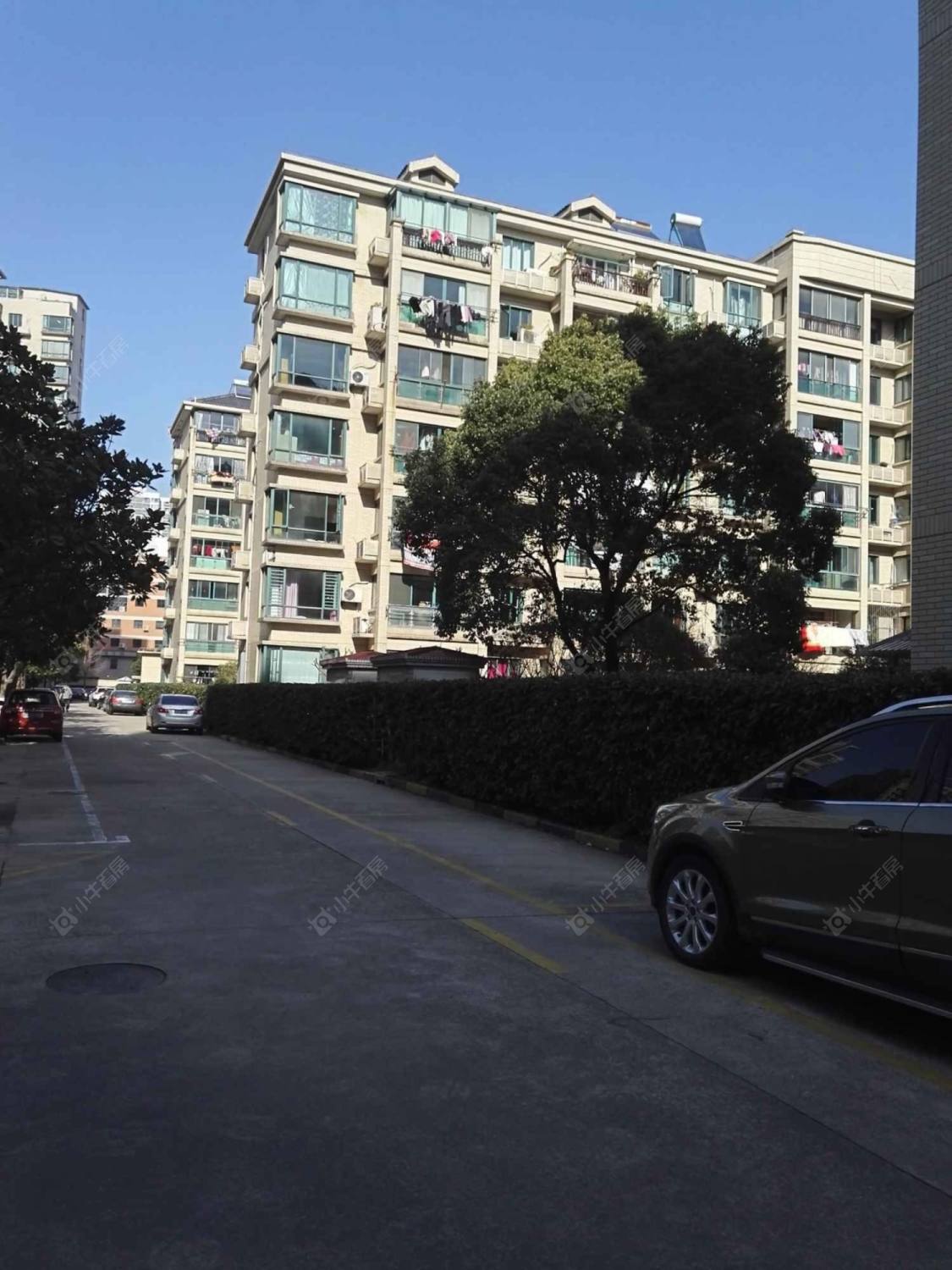 上海望族新苑小区_望族新苑小区null