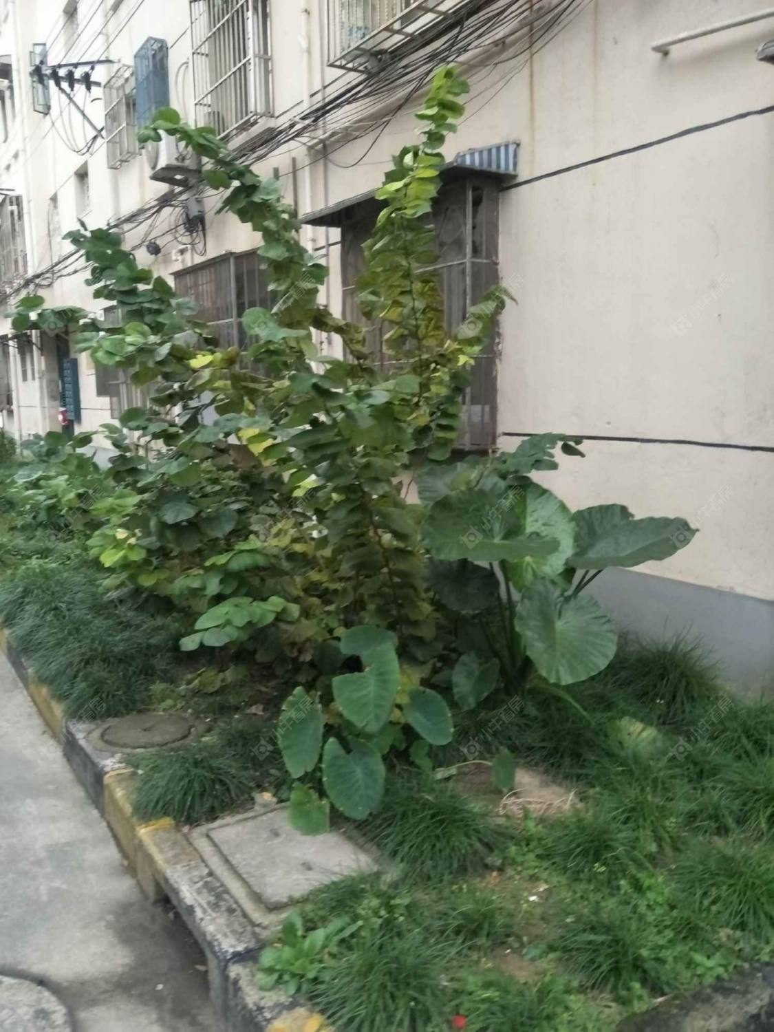 上海航鹰小区小区_航鹰小区小区null