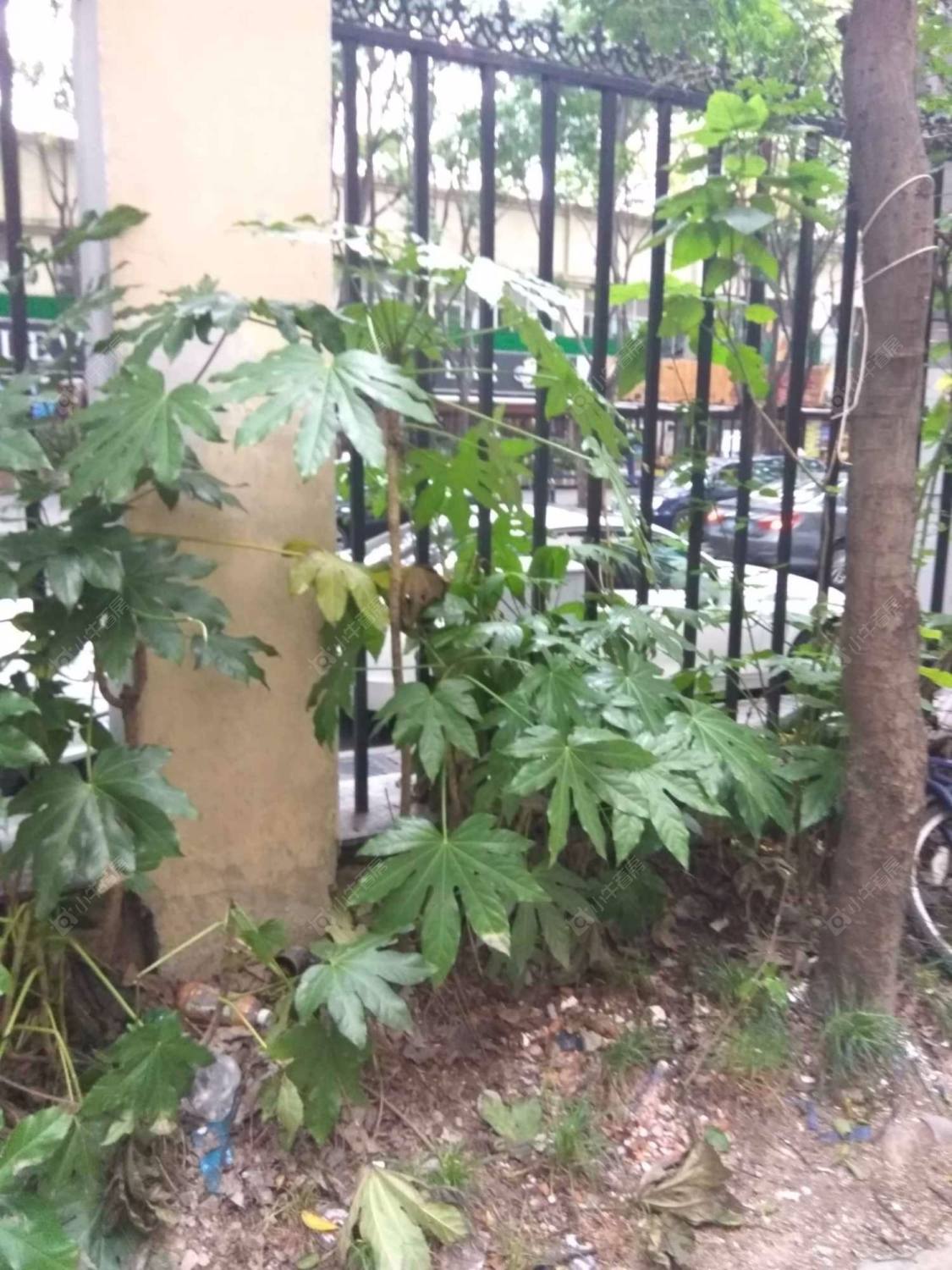 上海春江小区（静安）小区_春江小区（静安）小区null