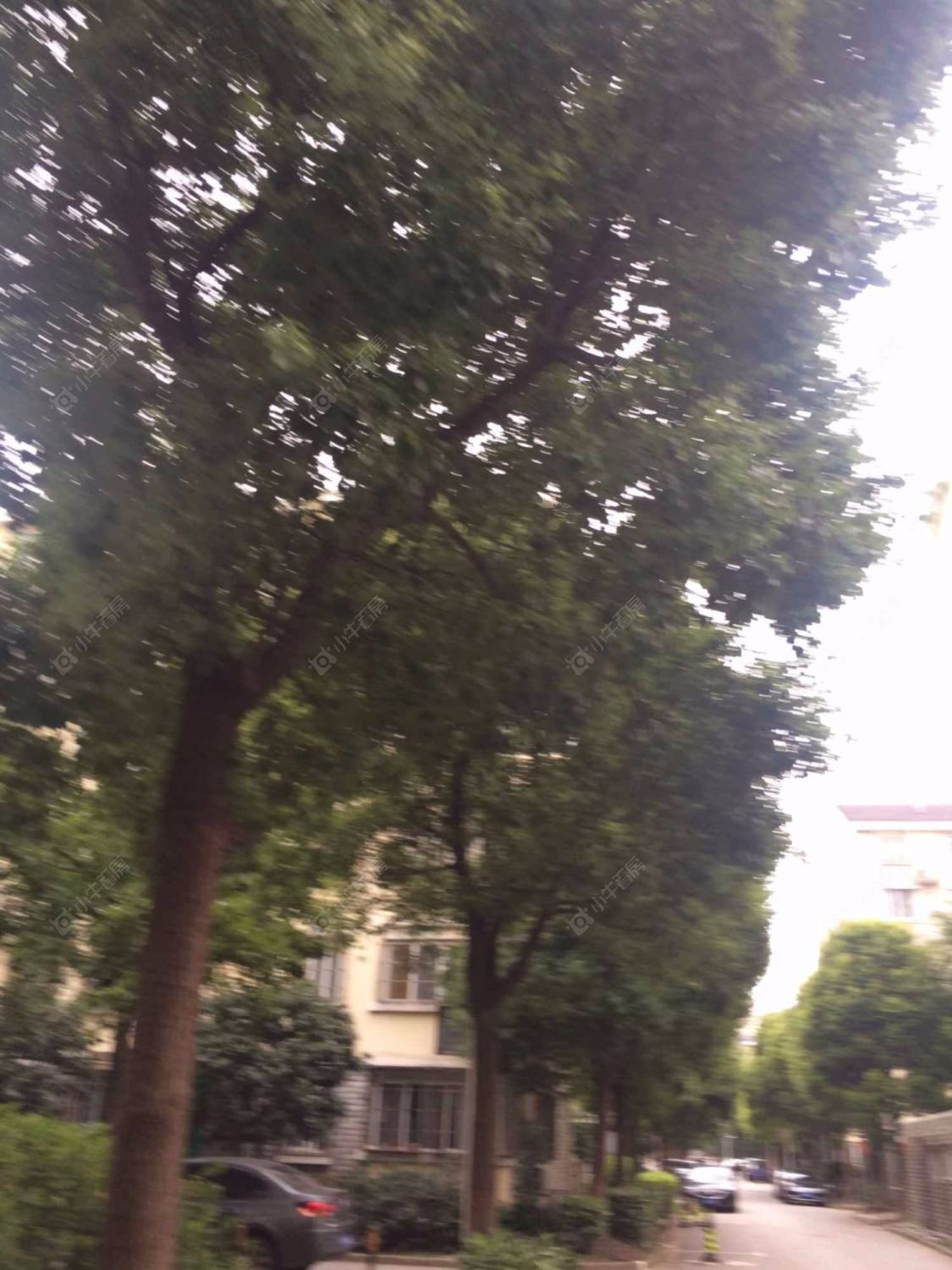 上海正旺苑小区_正旺苑小区null