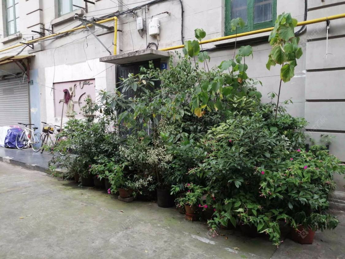 上海延安东路272弄小区_小牛看房