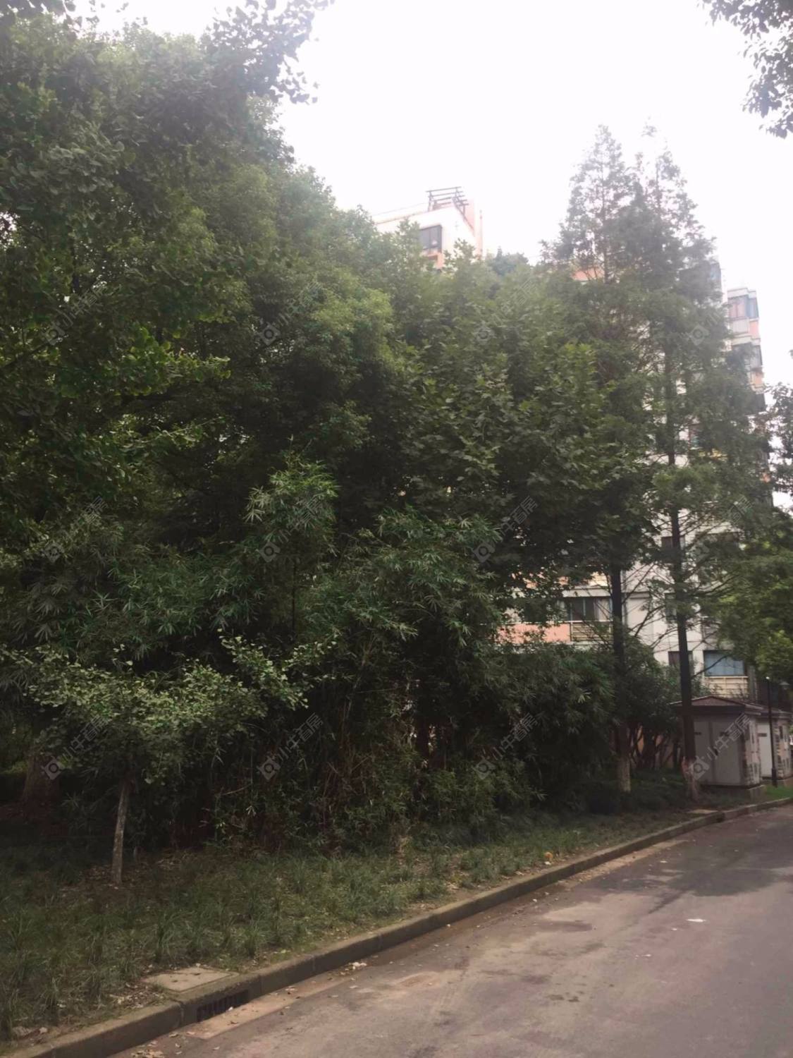 上海宝安新苑小区_宝安新苑小区null