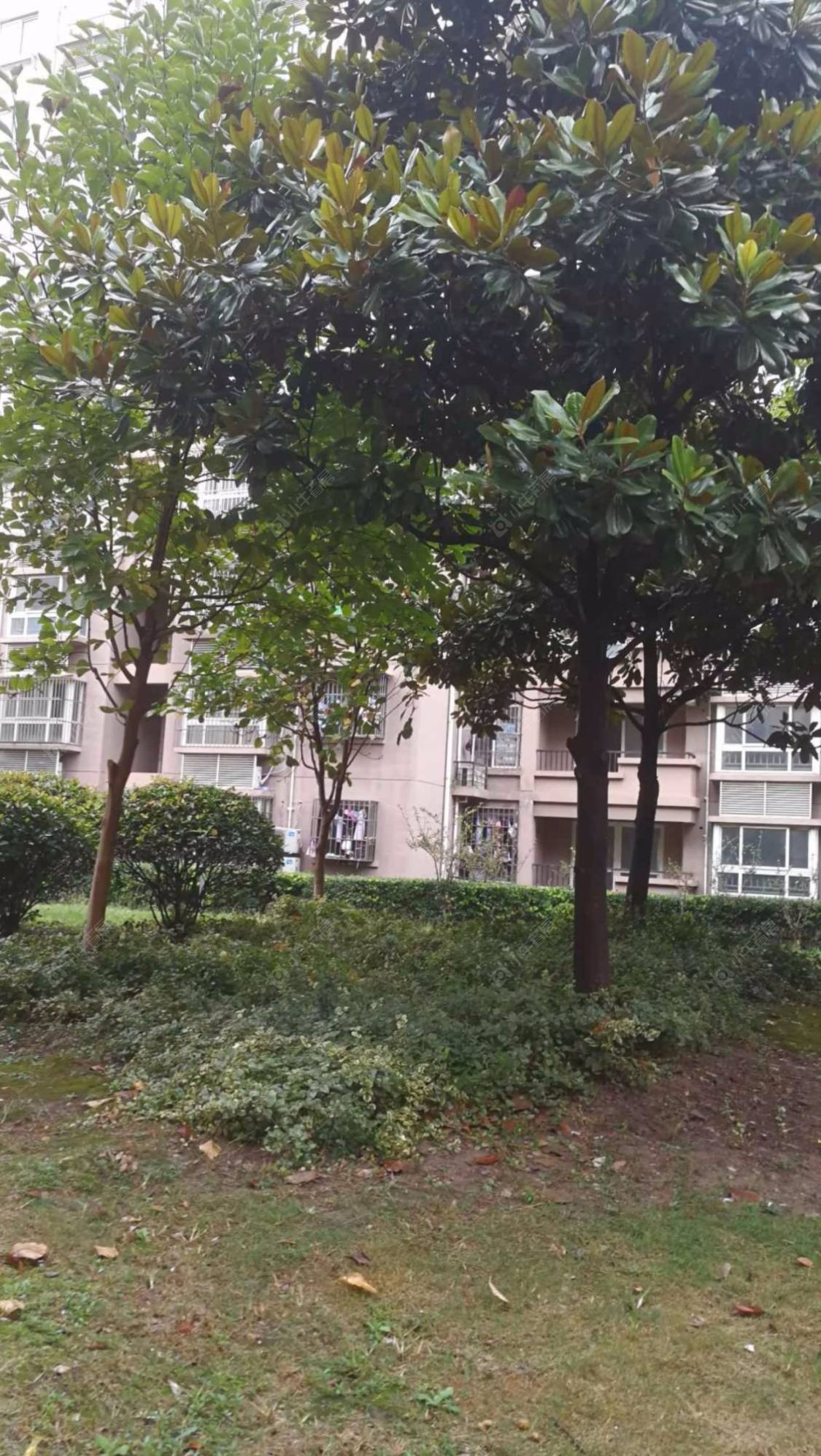 上海邻里苑小区_邻里苑小区null