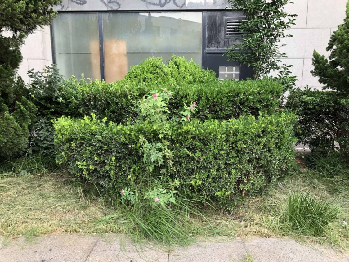 上海光大会展中心F座小区_光大会展中心F座小区null