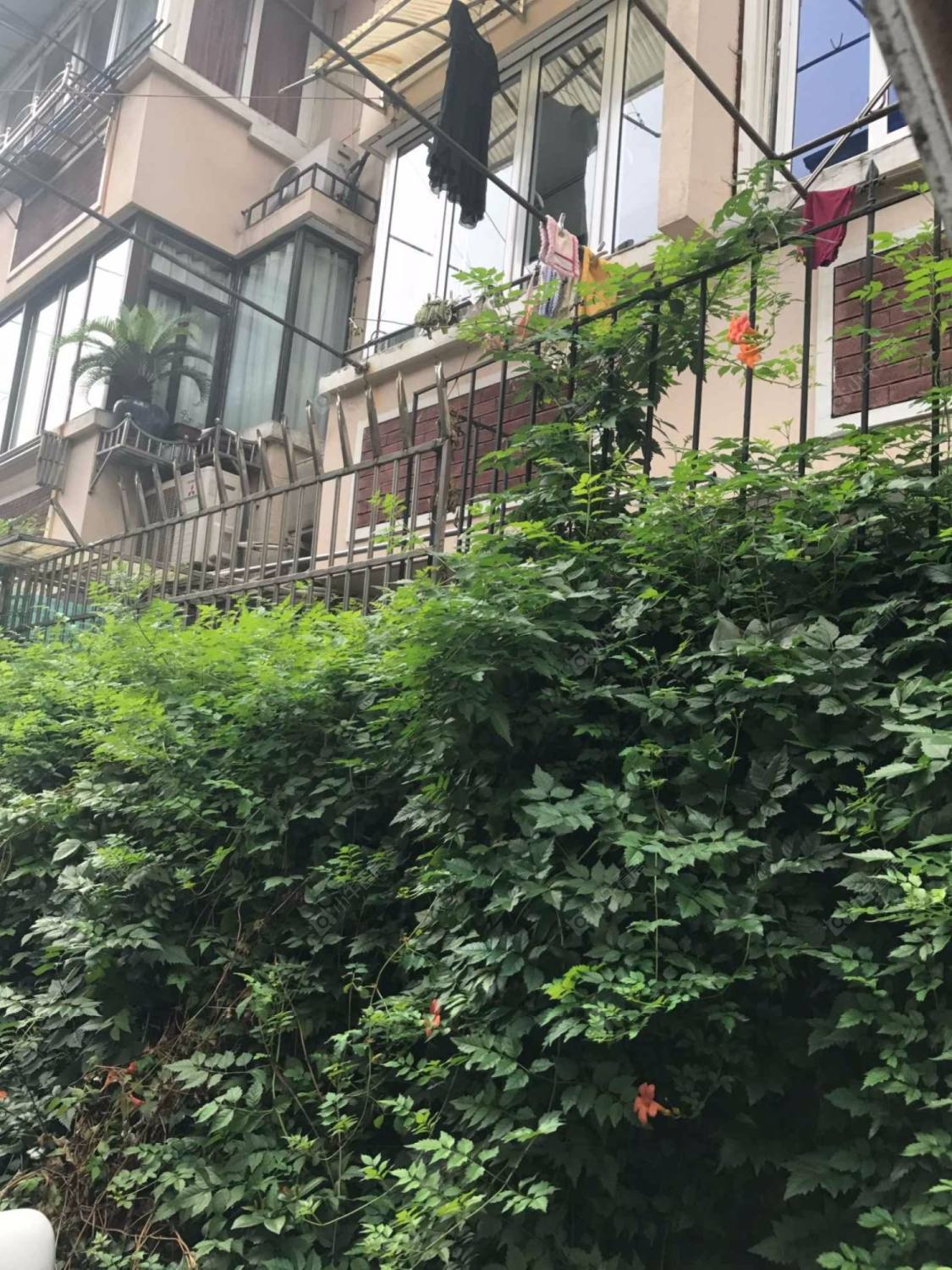 上海陕西北路643弄小区_小牛看房