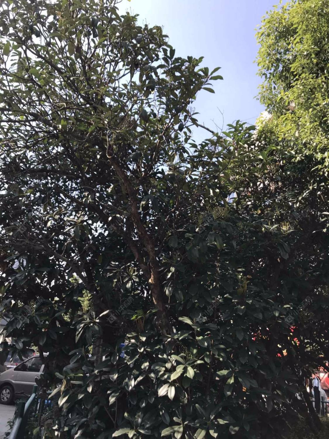 上海上钢九村小区_上钢九村小区实景图