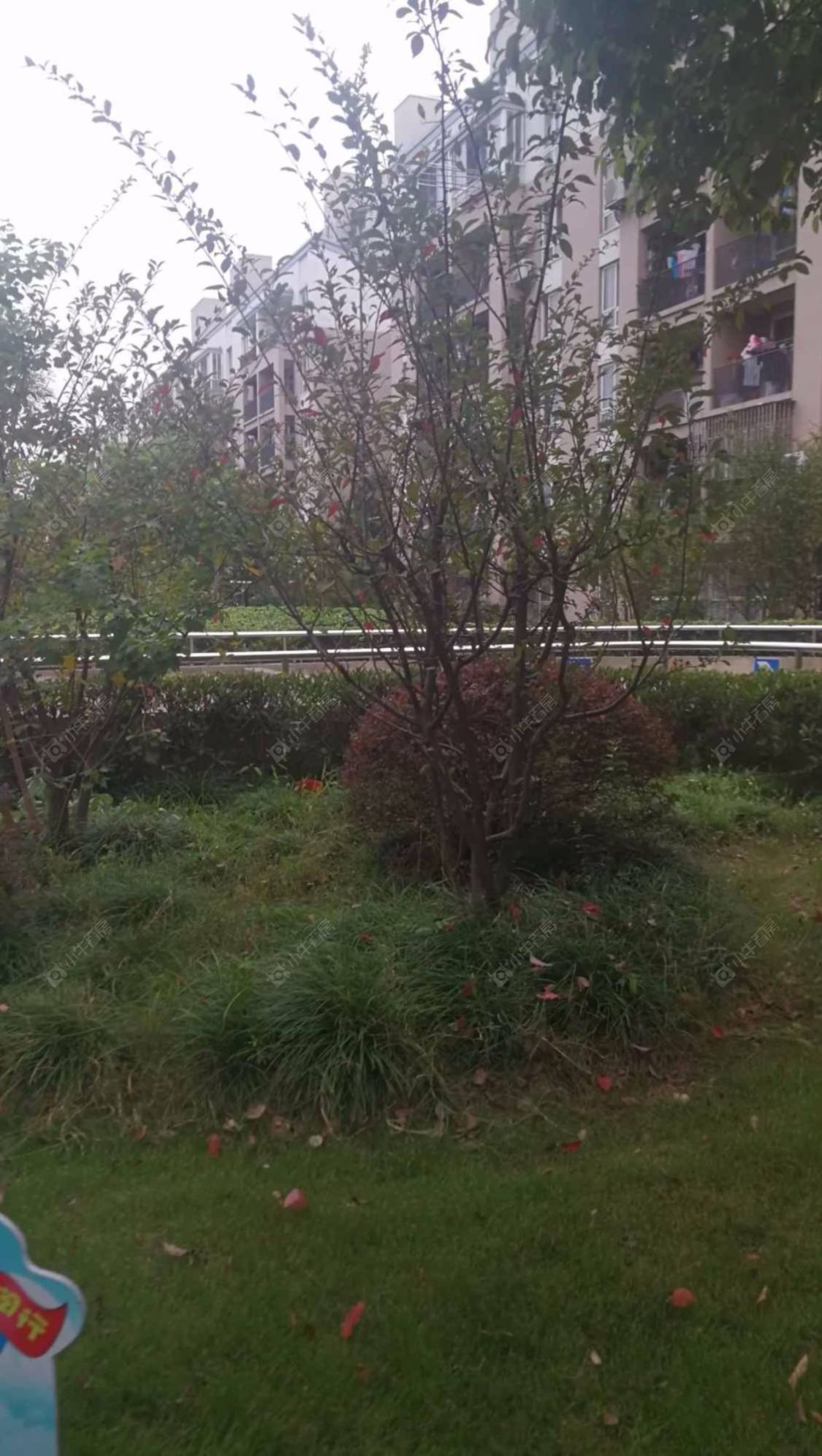 上海金硕河畔景园西区小区_金硕河畔景园西区小区null