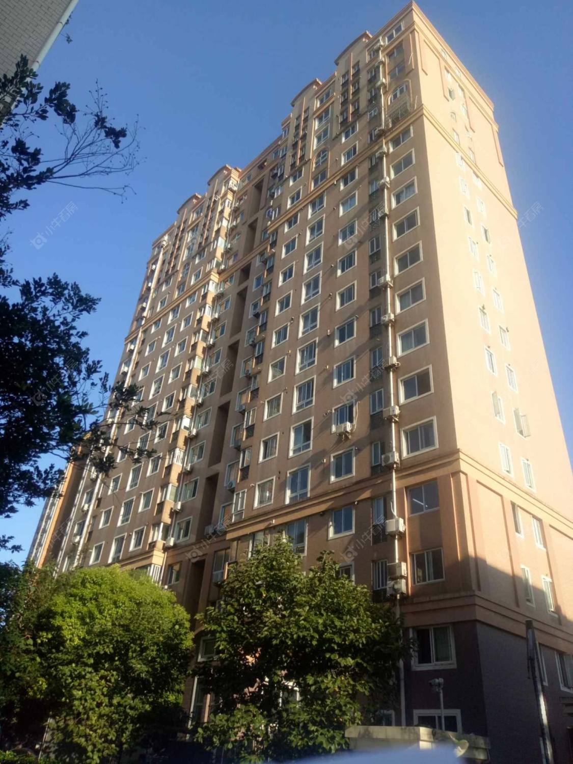 双城苑东苑封面图_小牛看房