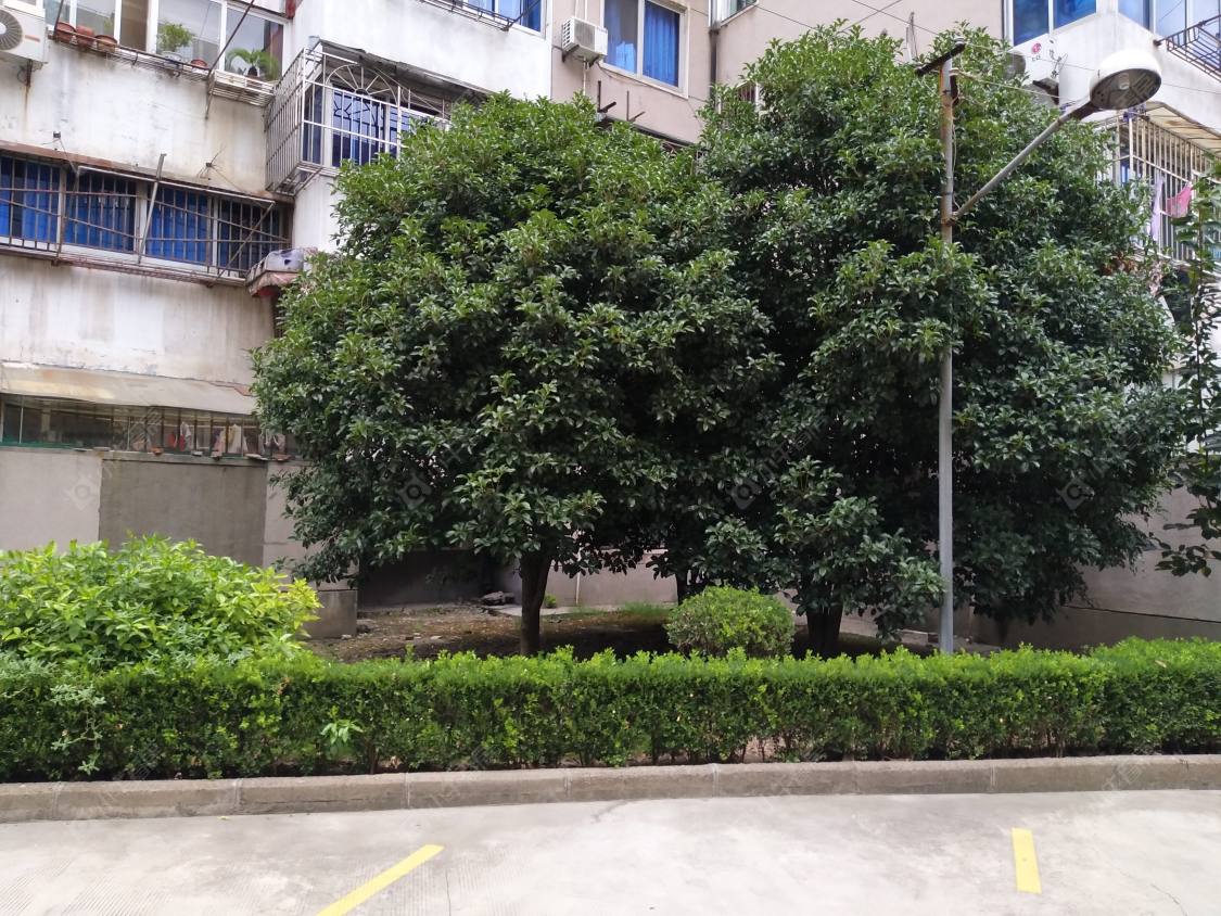 上海北大街115弄小区_北大街115弄小区null