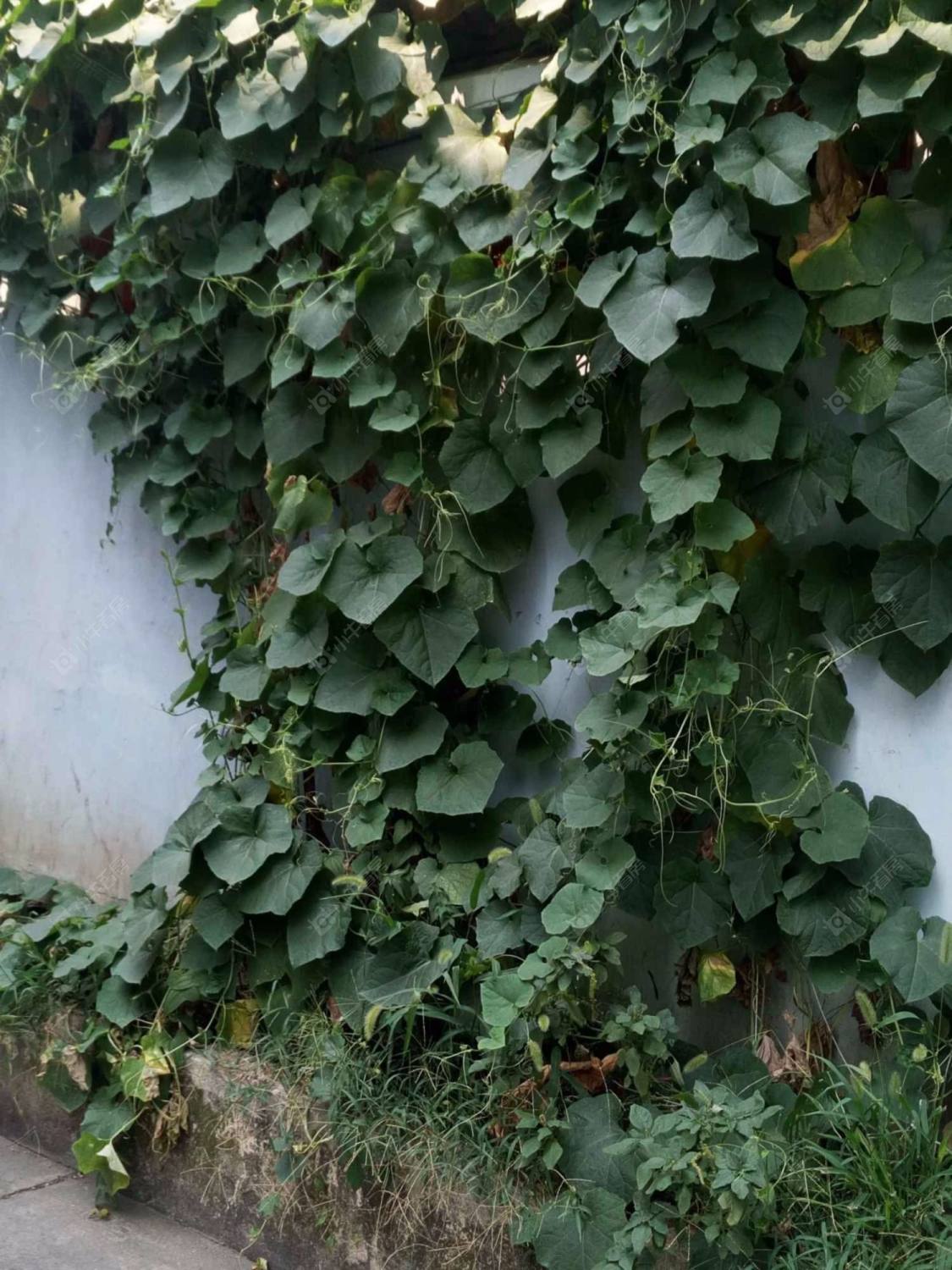 上海利泰广场小区_利泰广场小区null