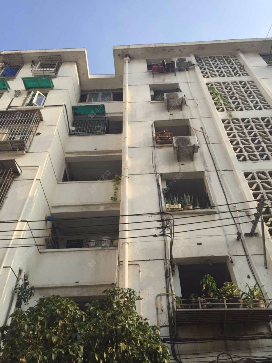 上海真如西村小区_真如西村小区null