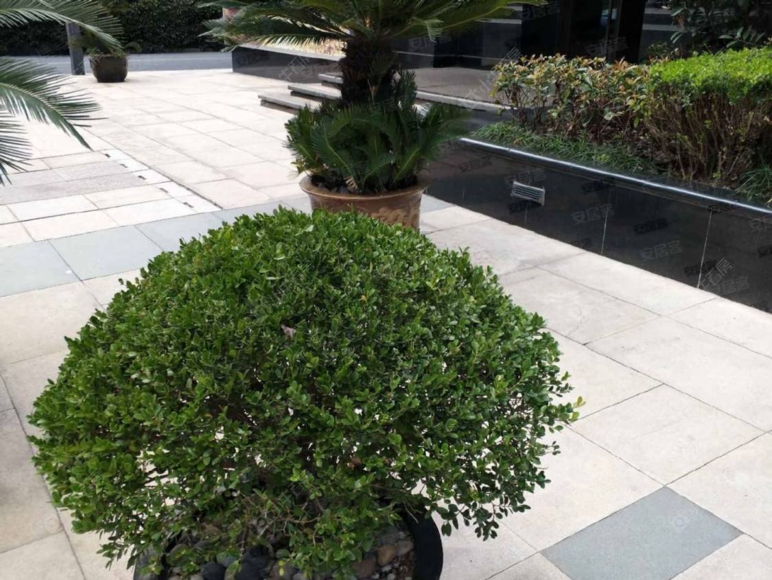 上海水清二村小区_水清二村小区null