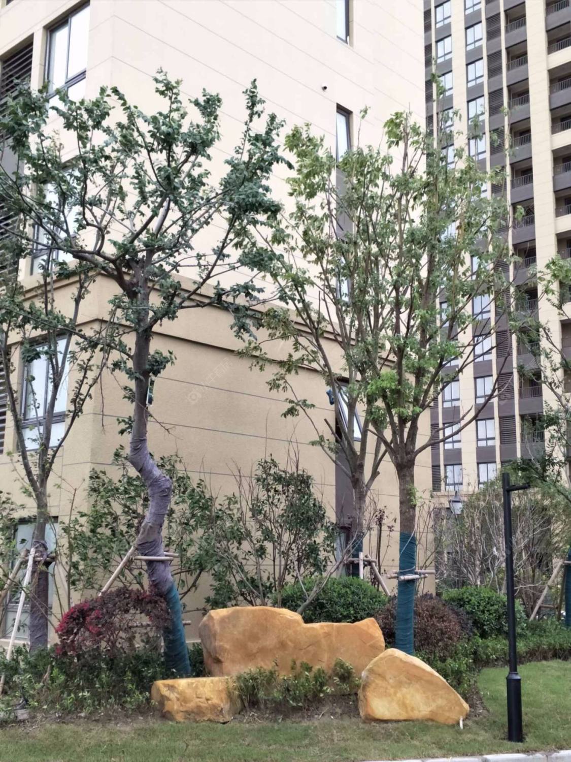 上海绿地香溢小区_绿地香溢小区null