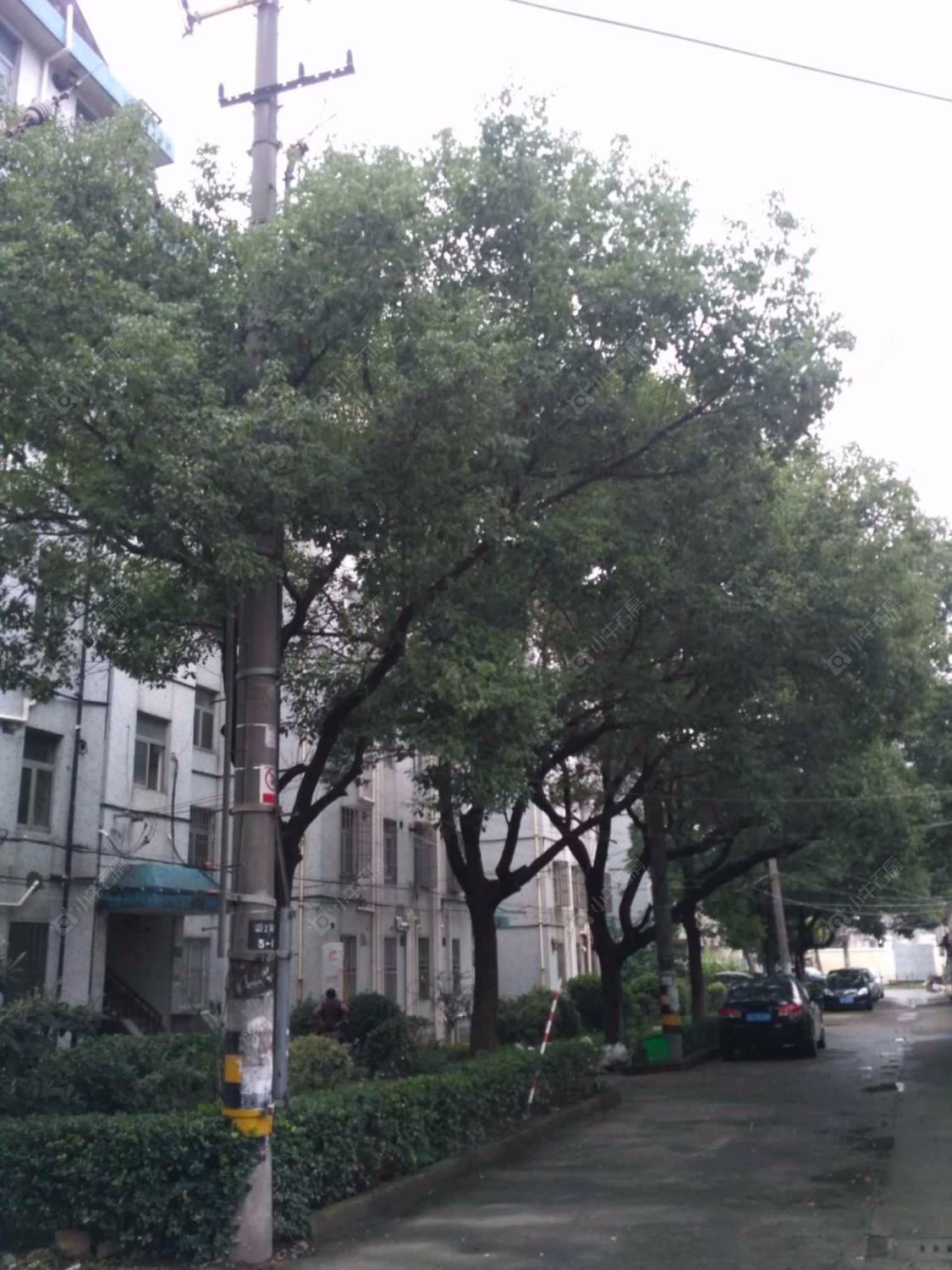 上海浦银一村小区_浦银一村小区null