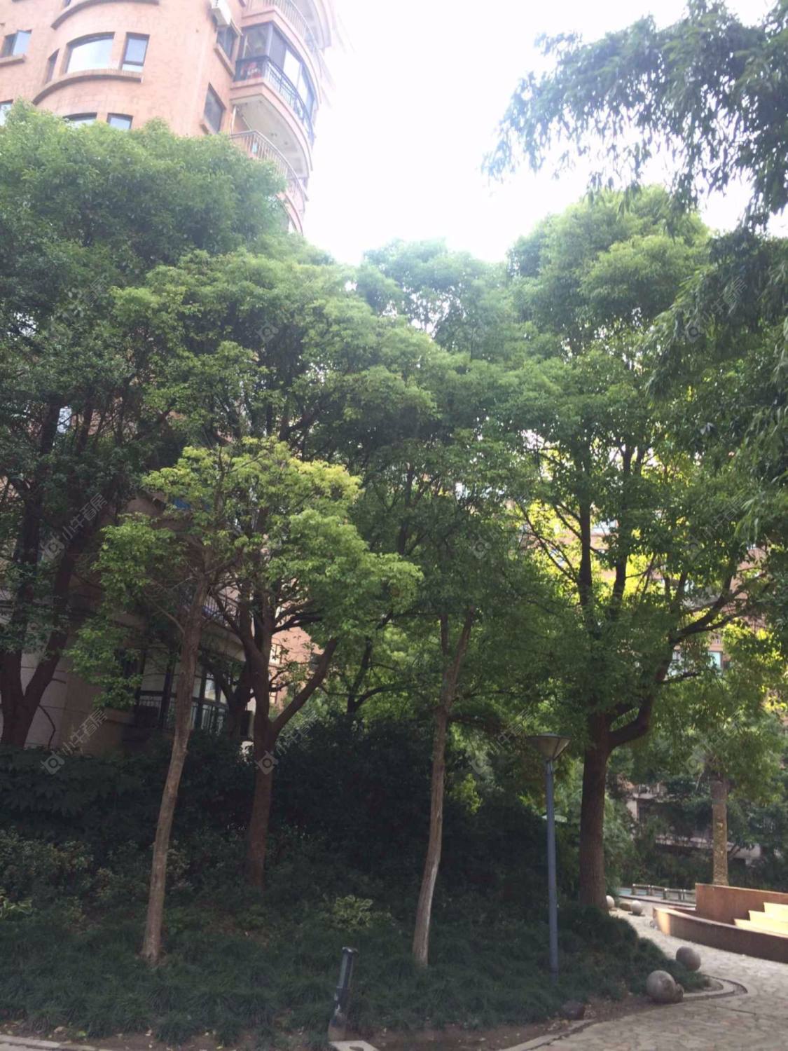 上海碧云东方公寓小区_碧云东方公寓小区null