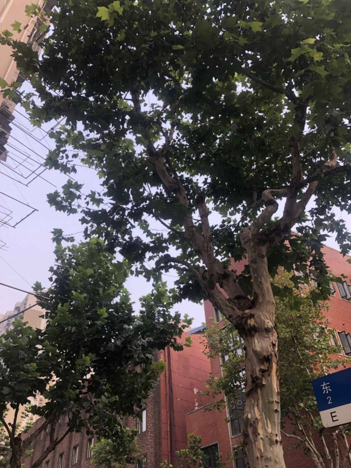 上海海防路小区_小牛看房