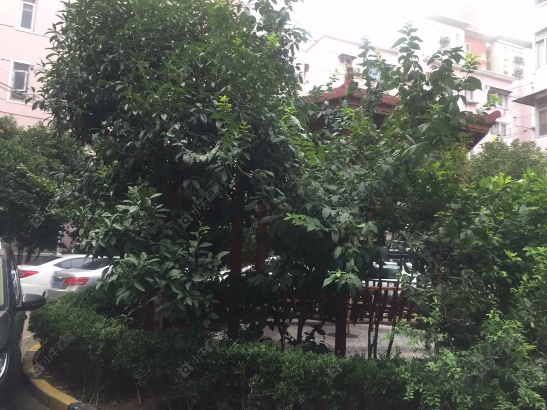 上海天吉小区小区_天吉小区小区null