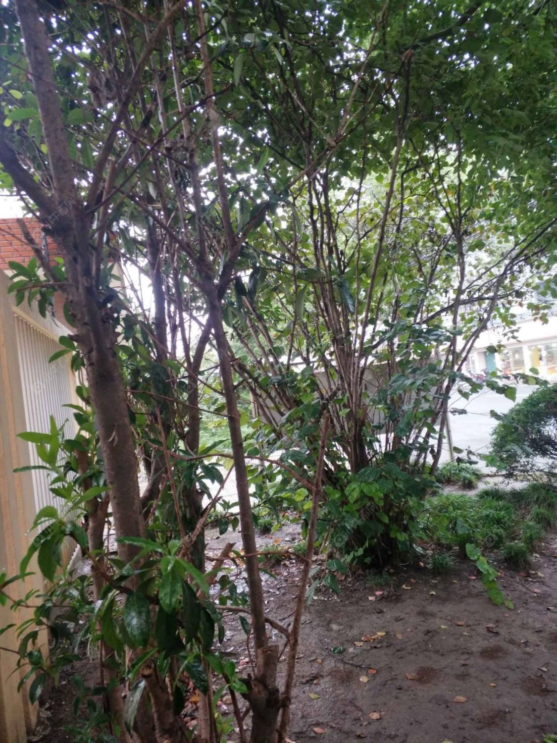 上海静安区教工敬老院小区_静安区教工敬老院小区null