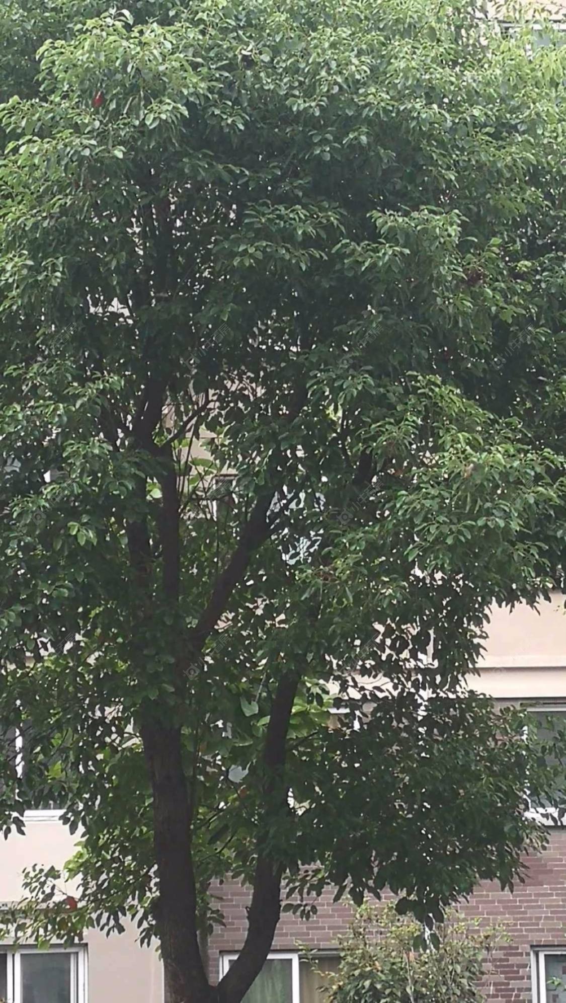 上海聚缘南庭小区_聚缘南庭小区null